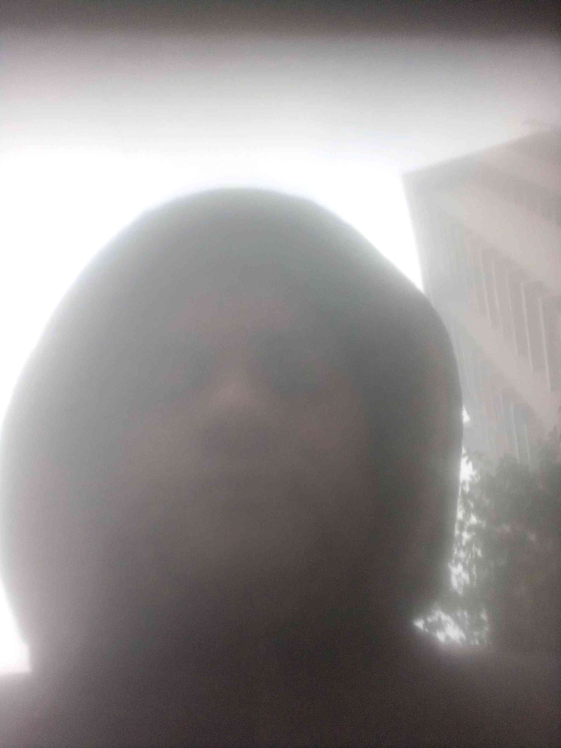 Deepak P.
