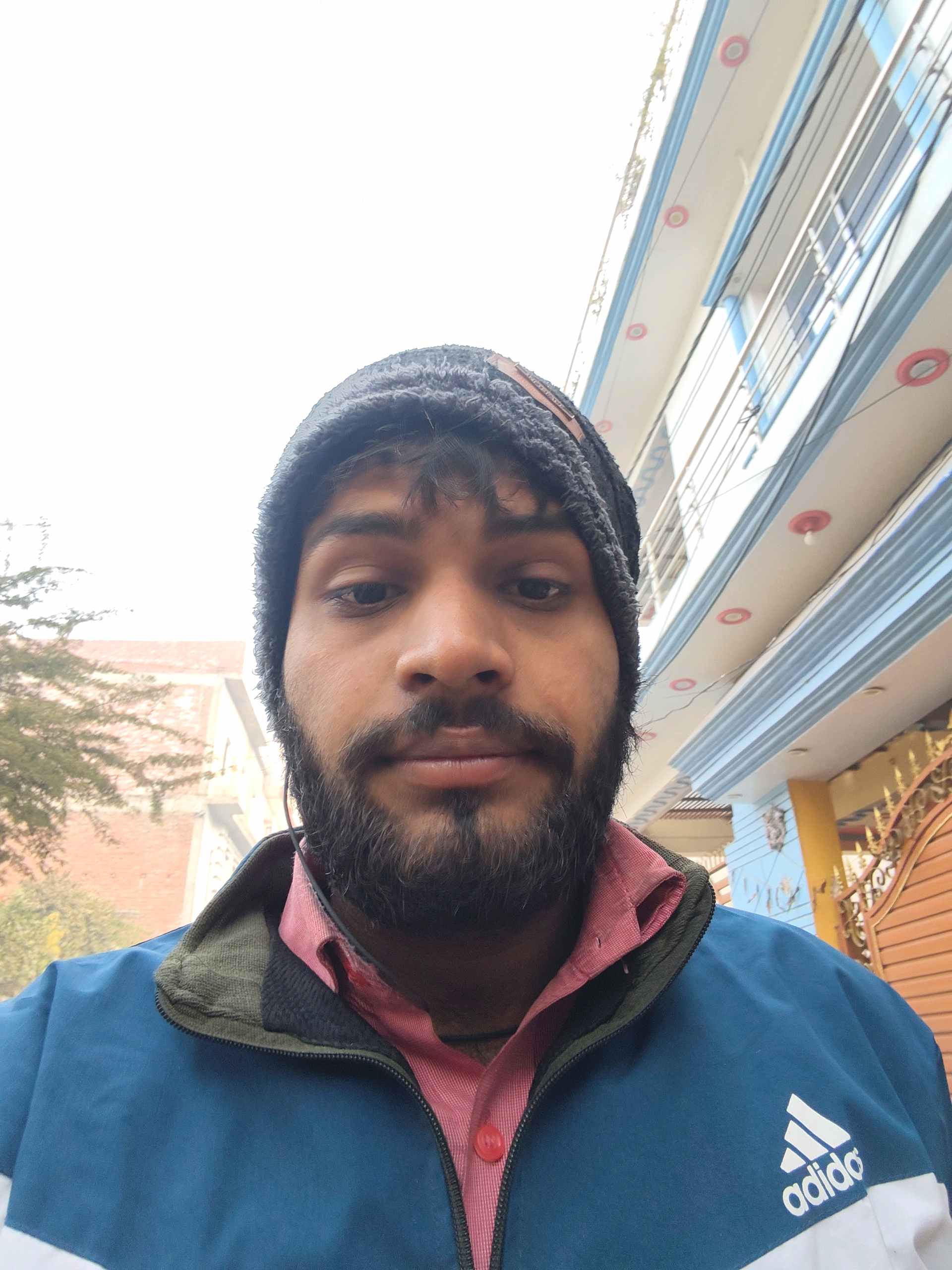 Ansal Y.