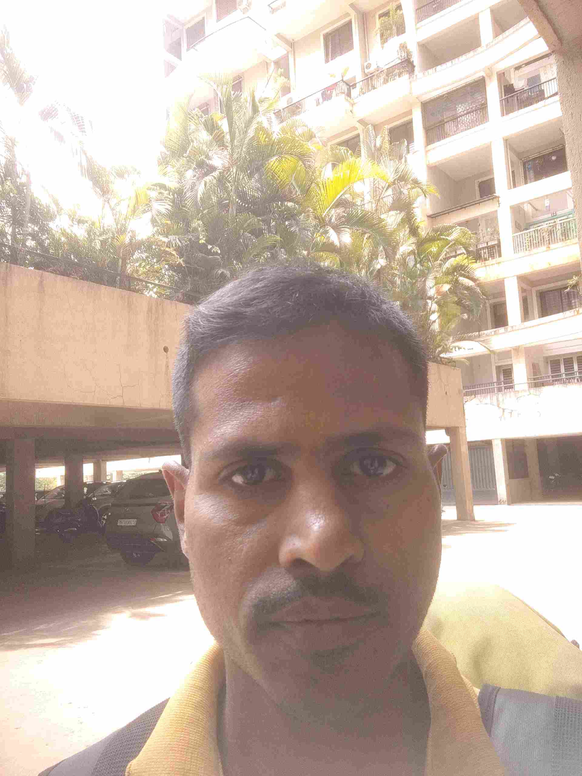 Anil A.