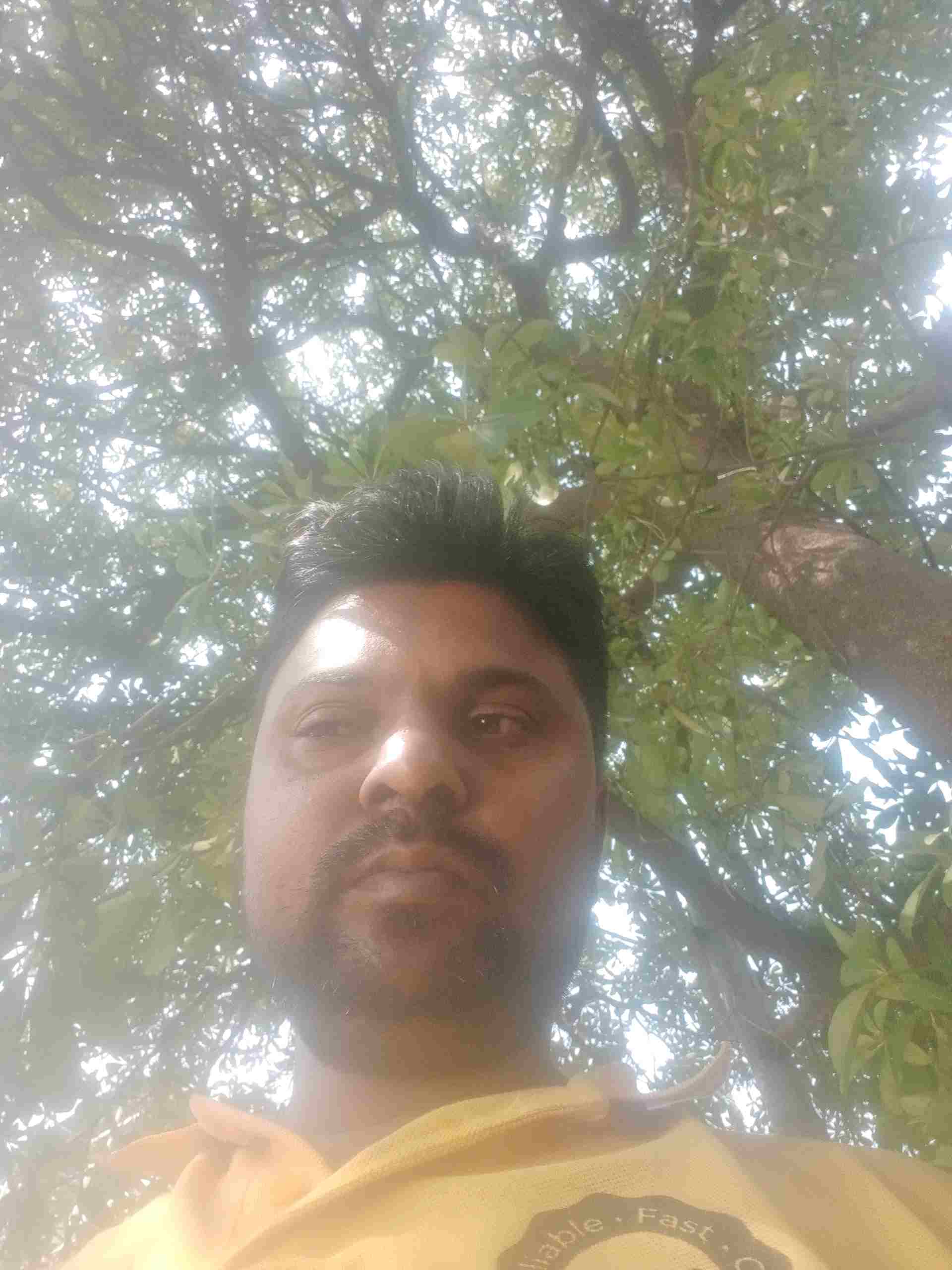 Vipul