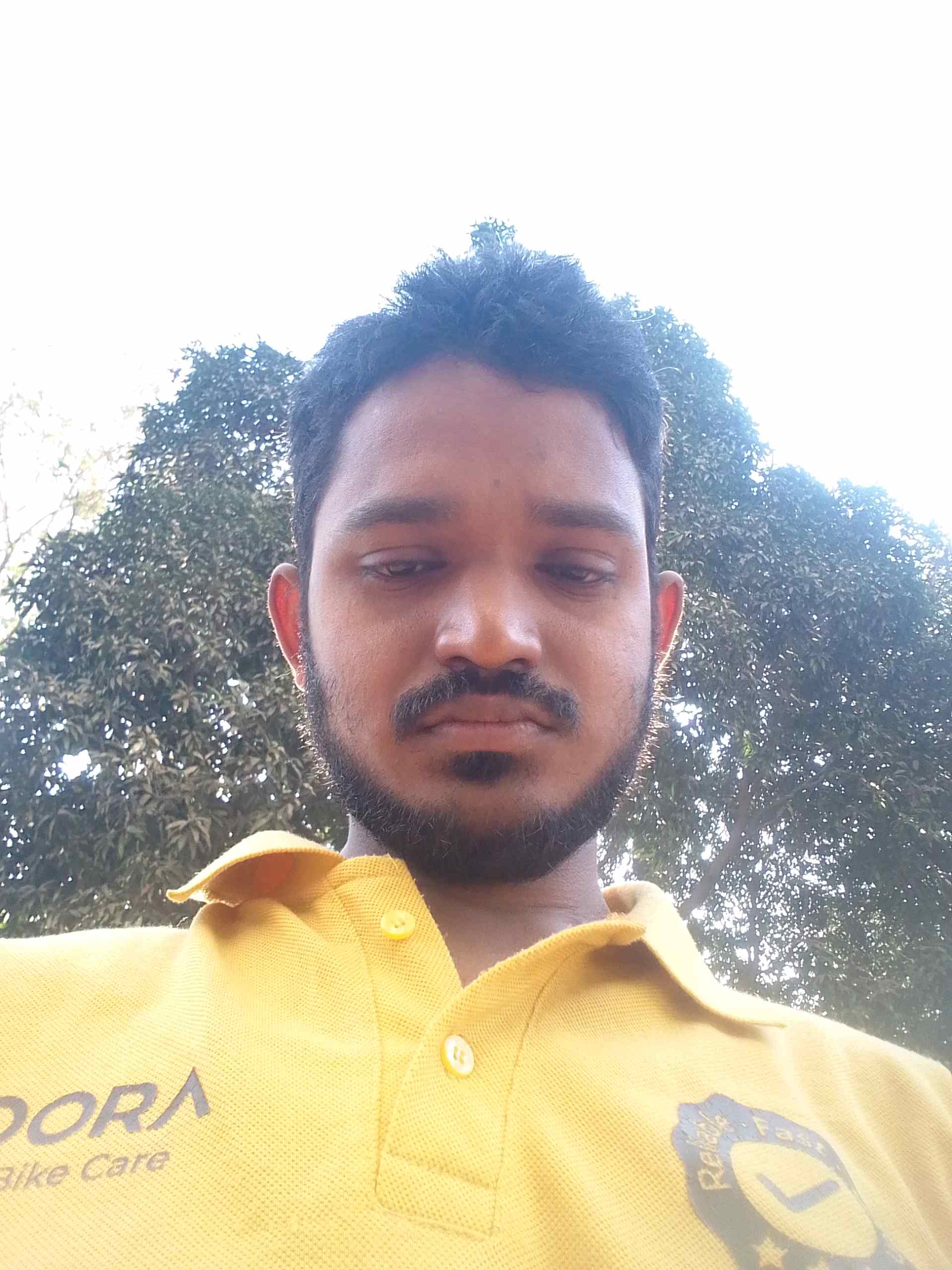 Mdkamruddinansari