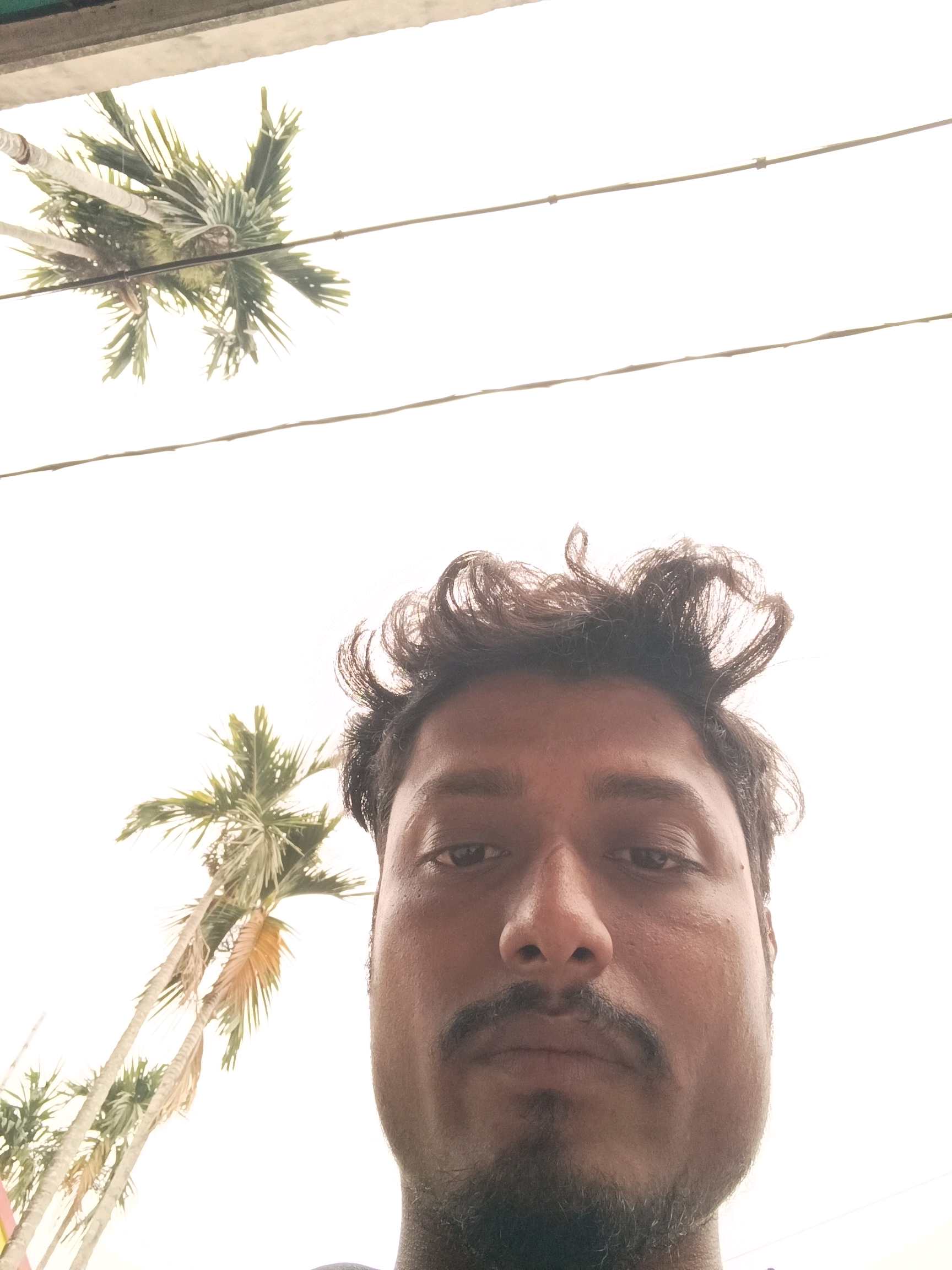Saikat