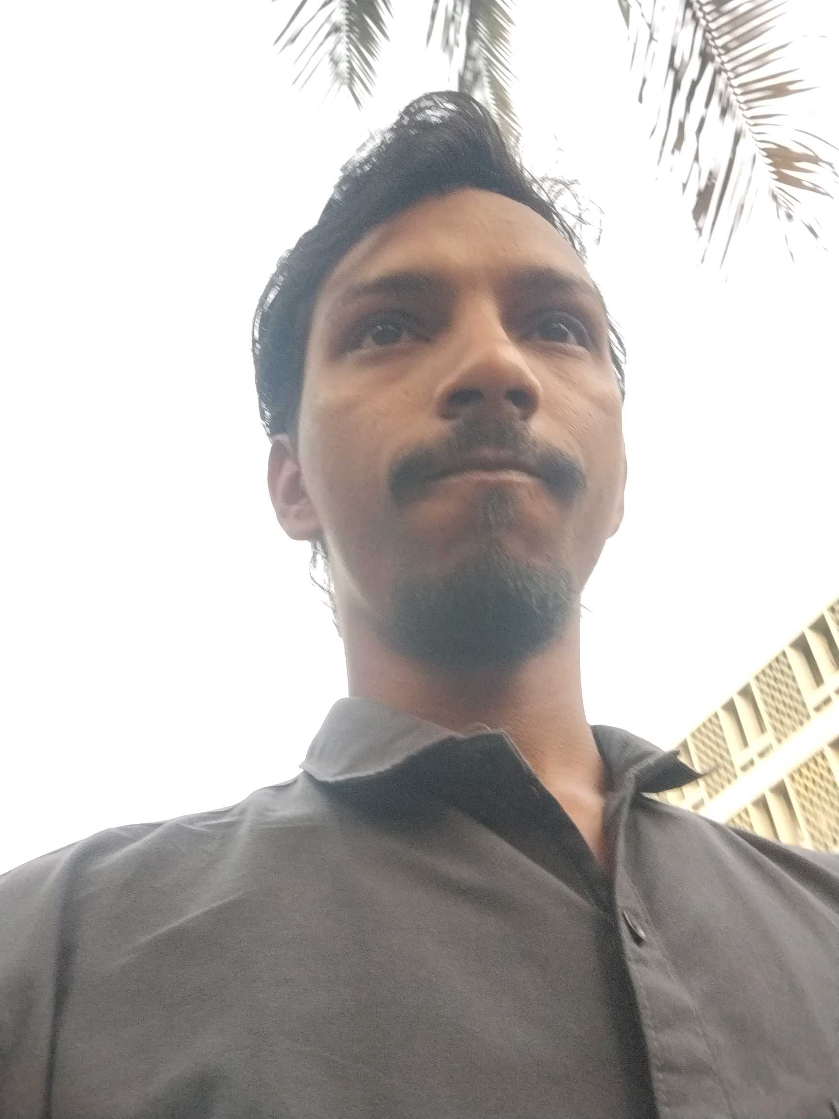 Yasin S.