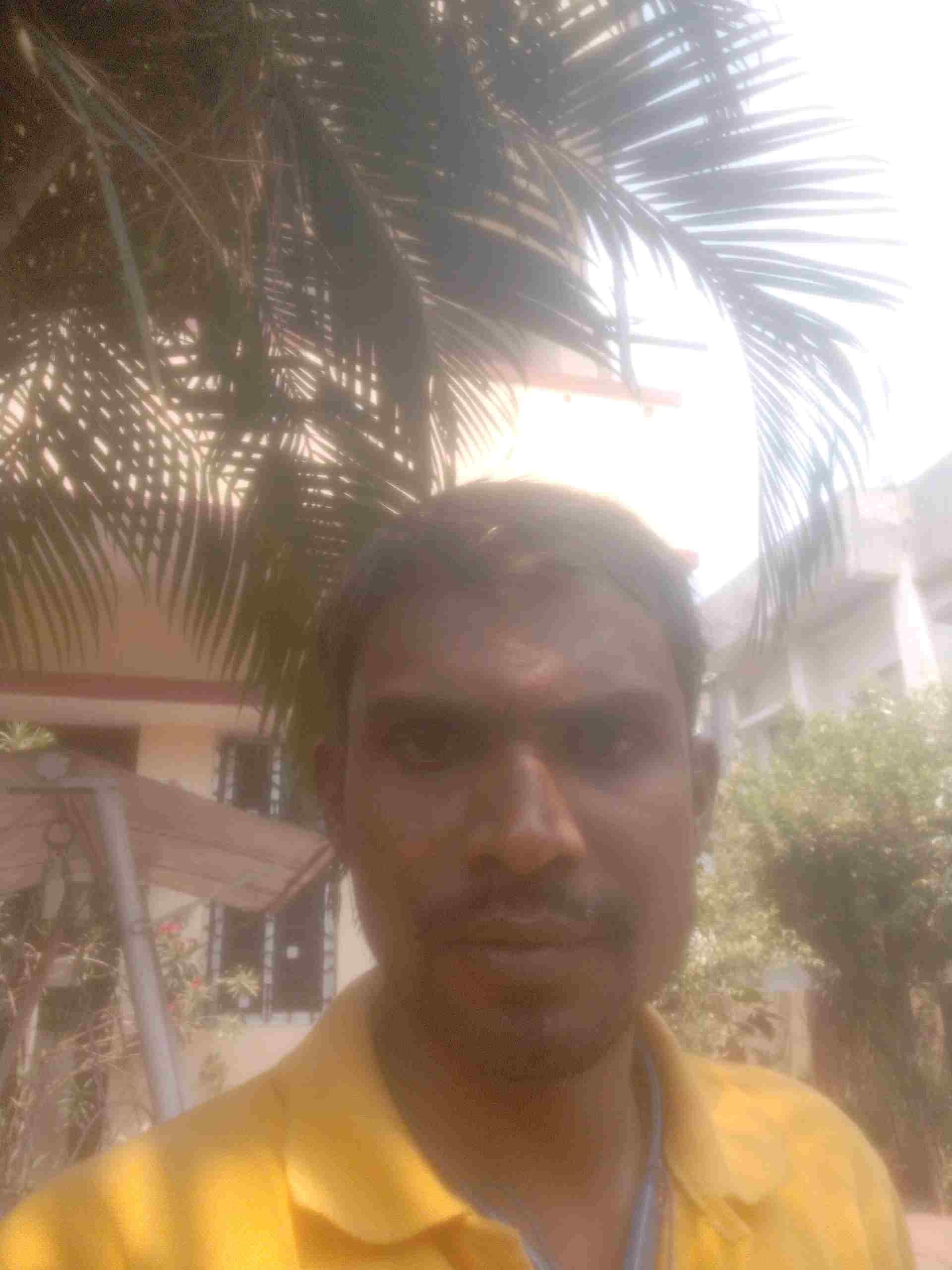 Anil B.
