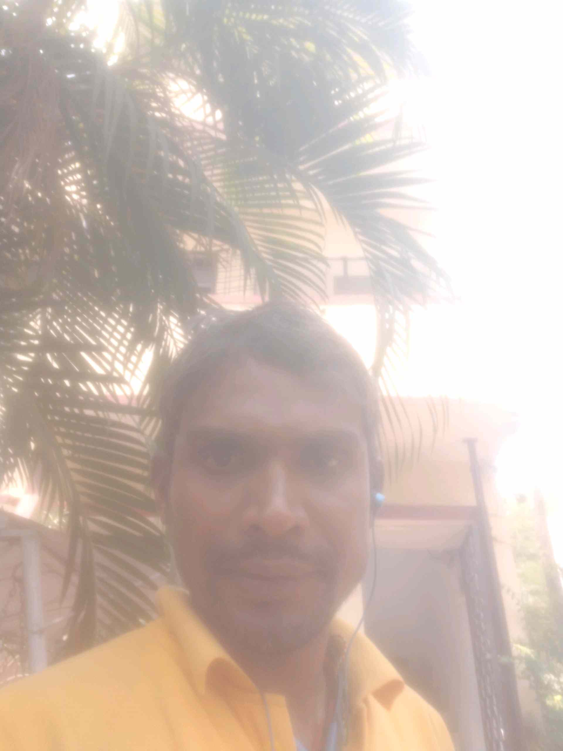 Anil B.