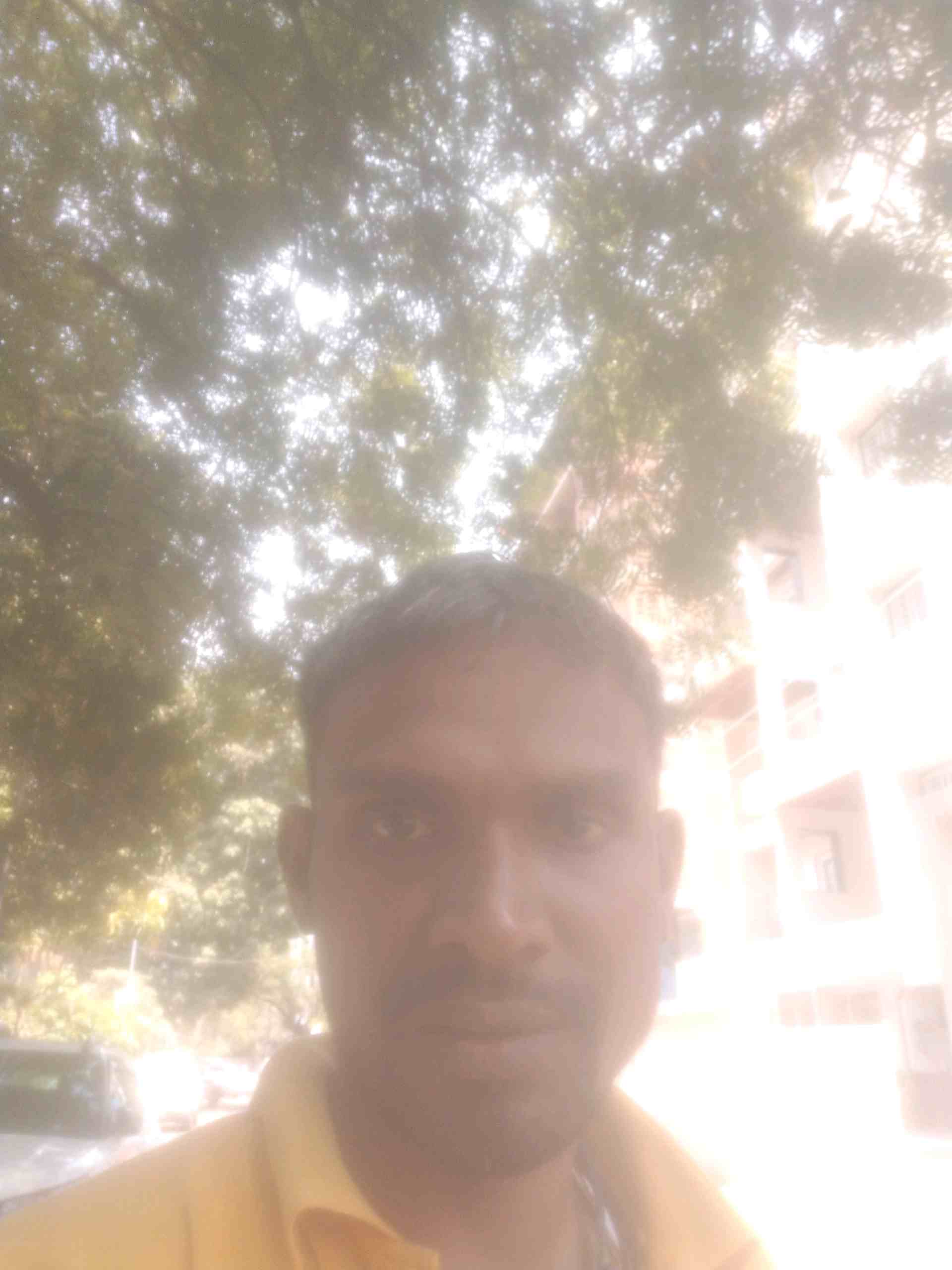 Anil B.