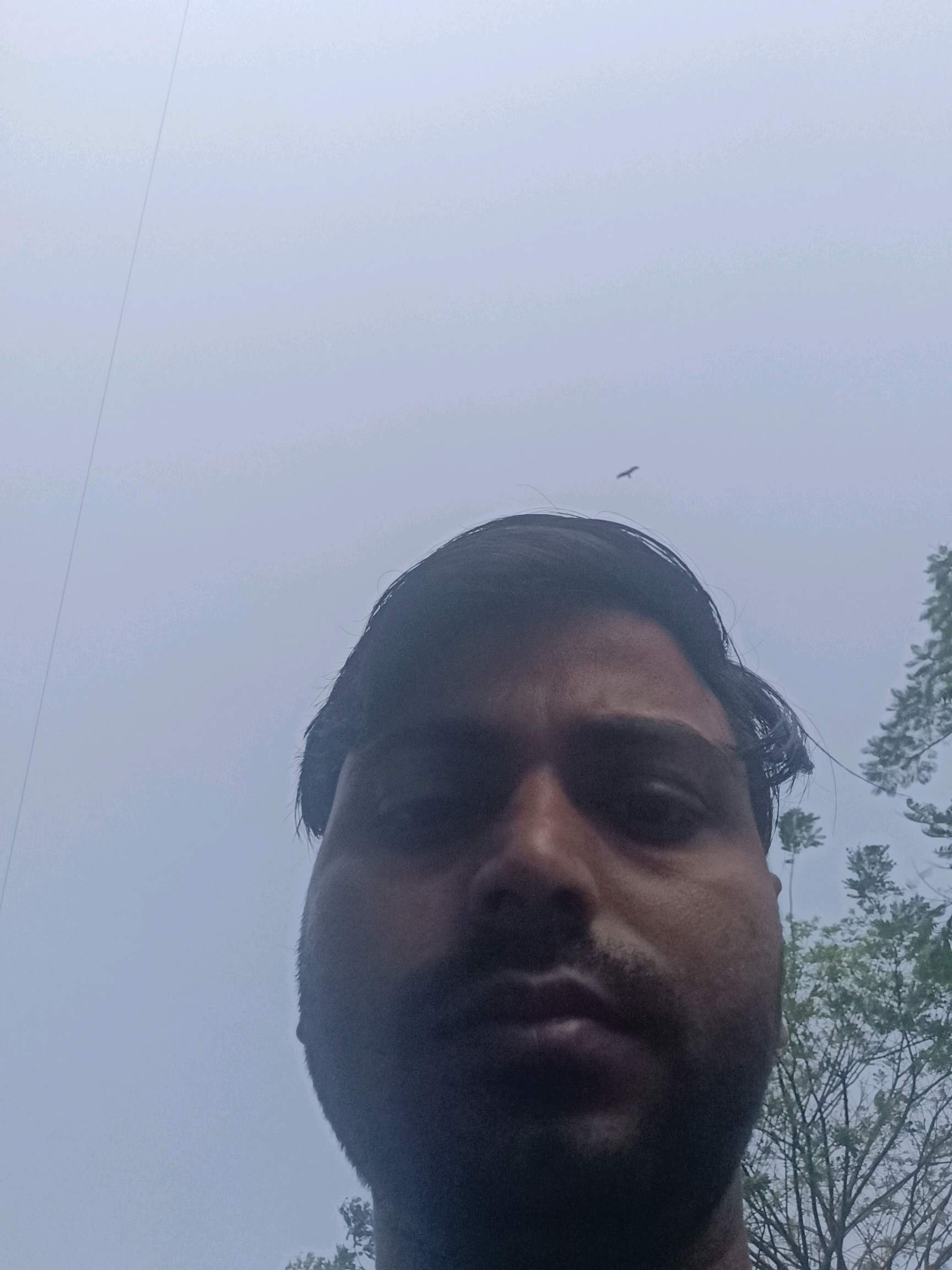 Naushad M.