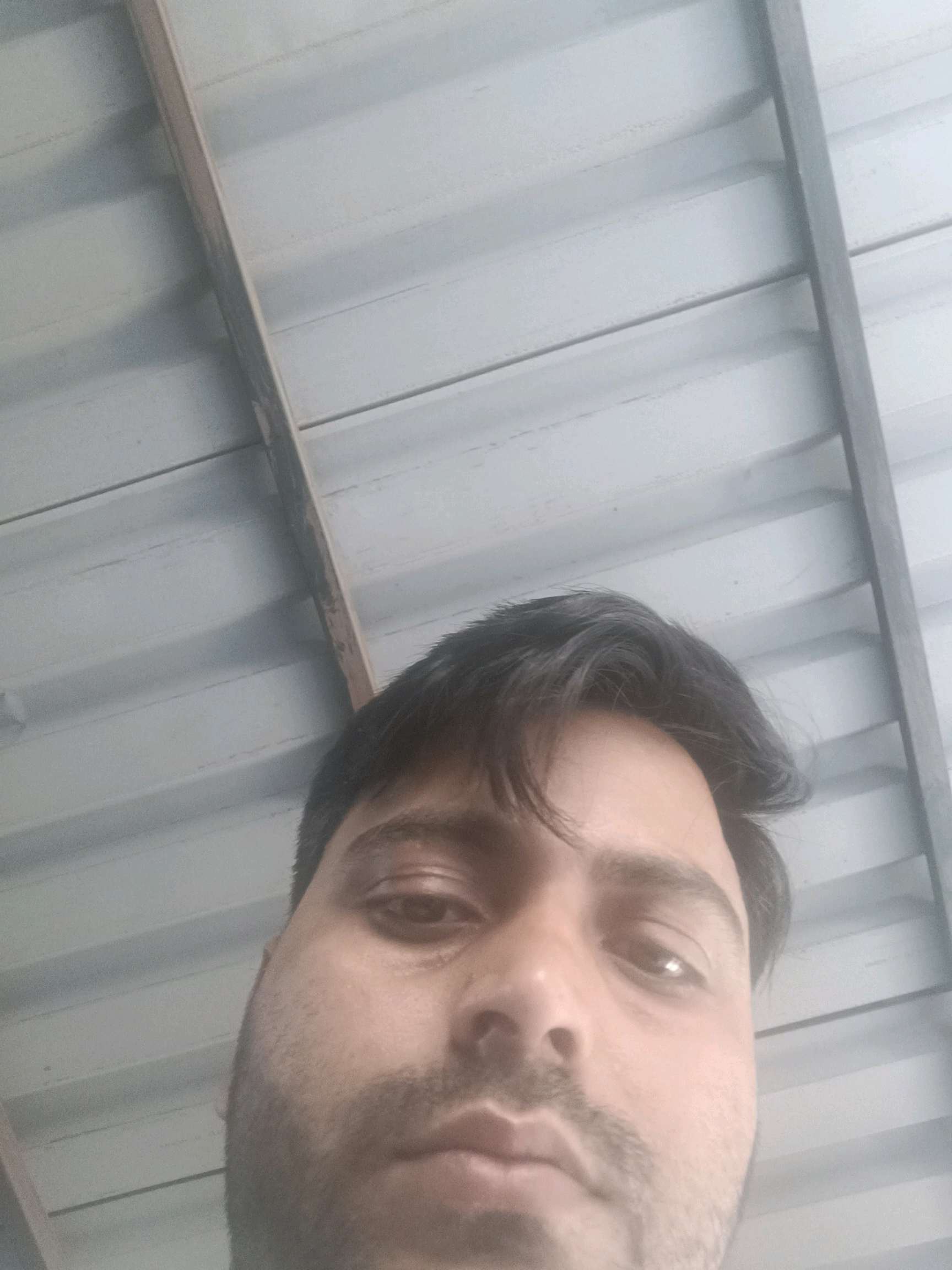 Naushad M.