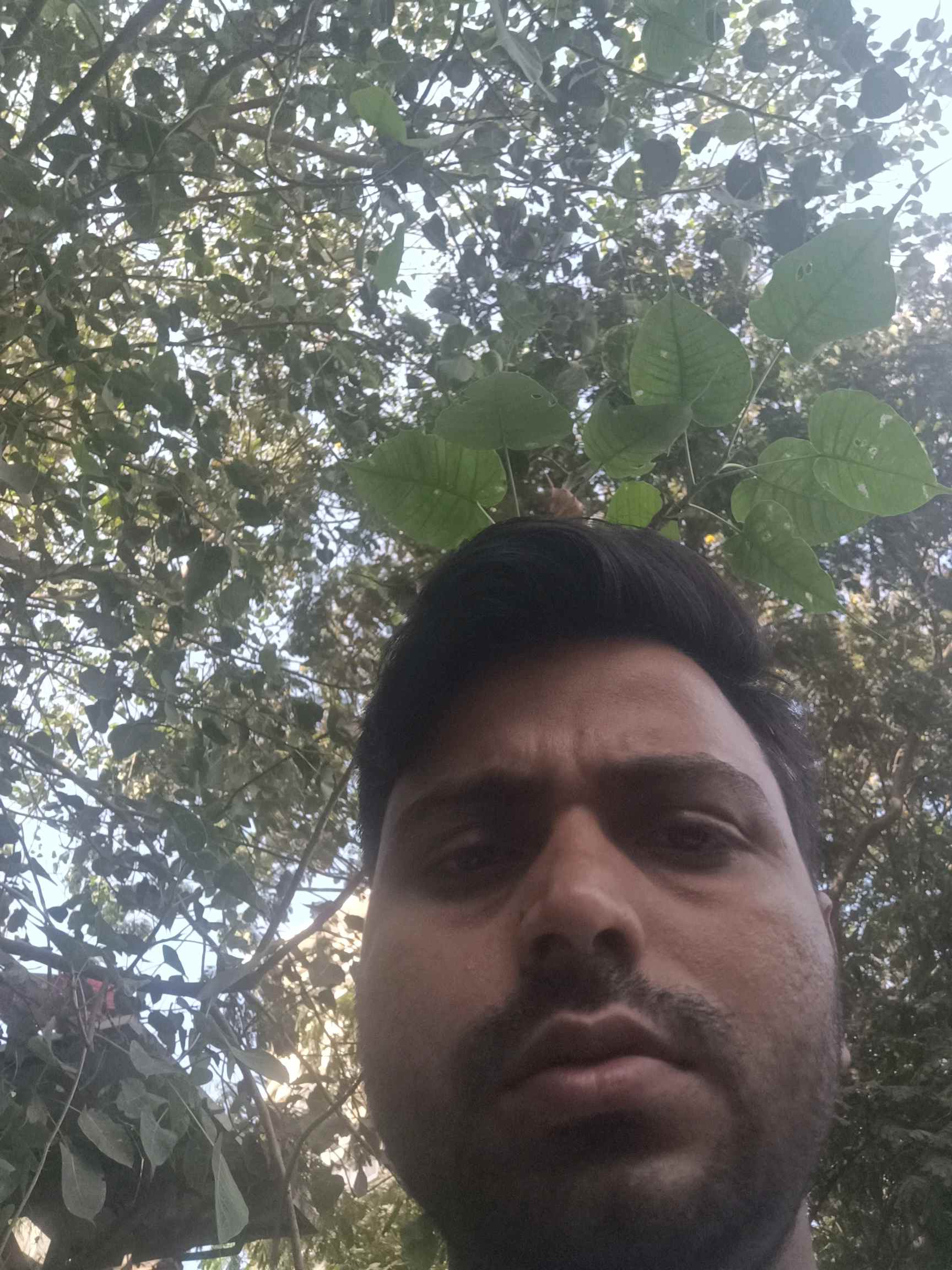 Naushad M.