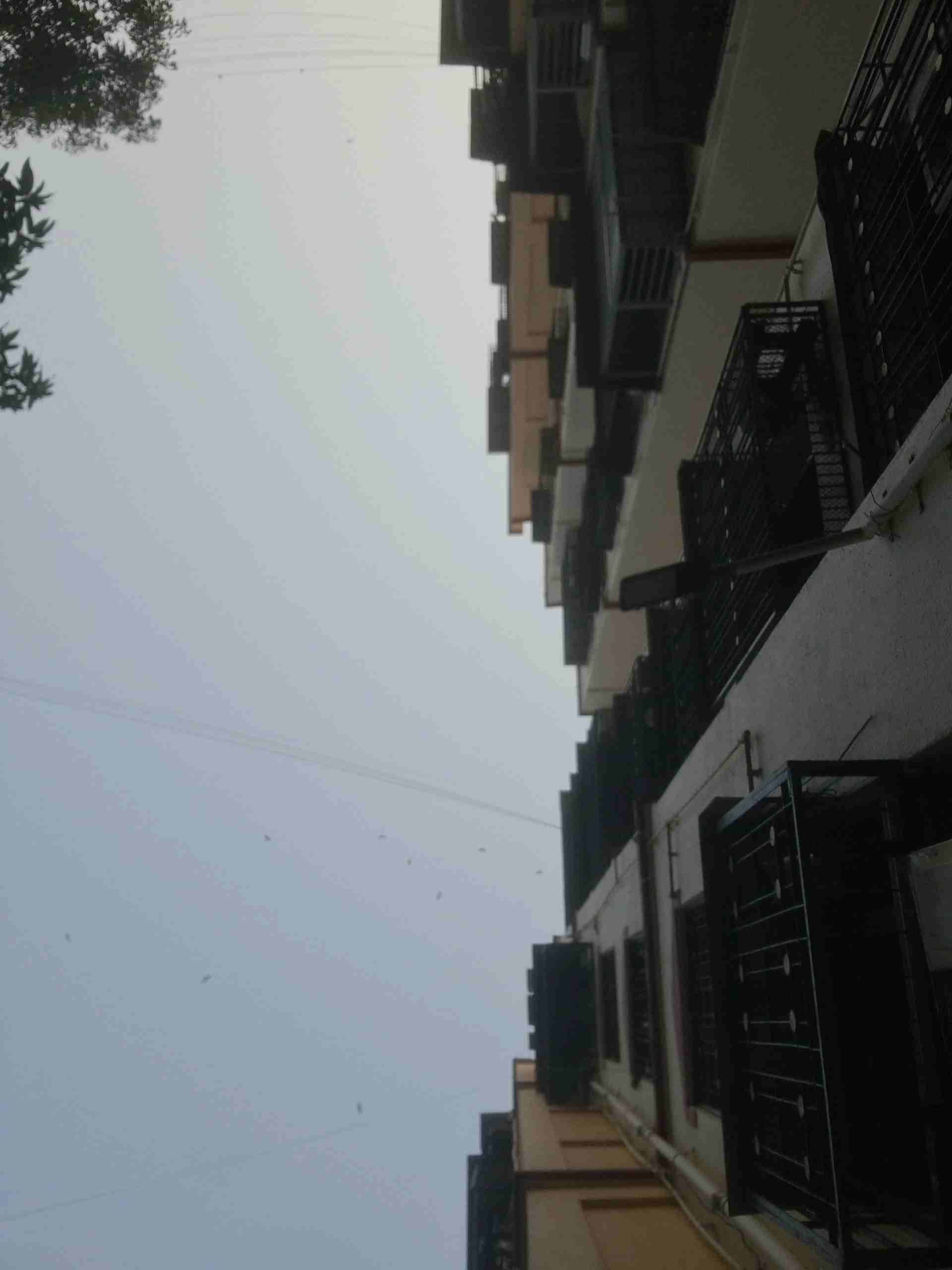 Abhishek B.