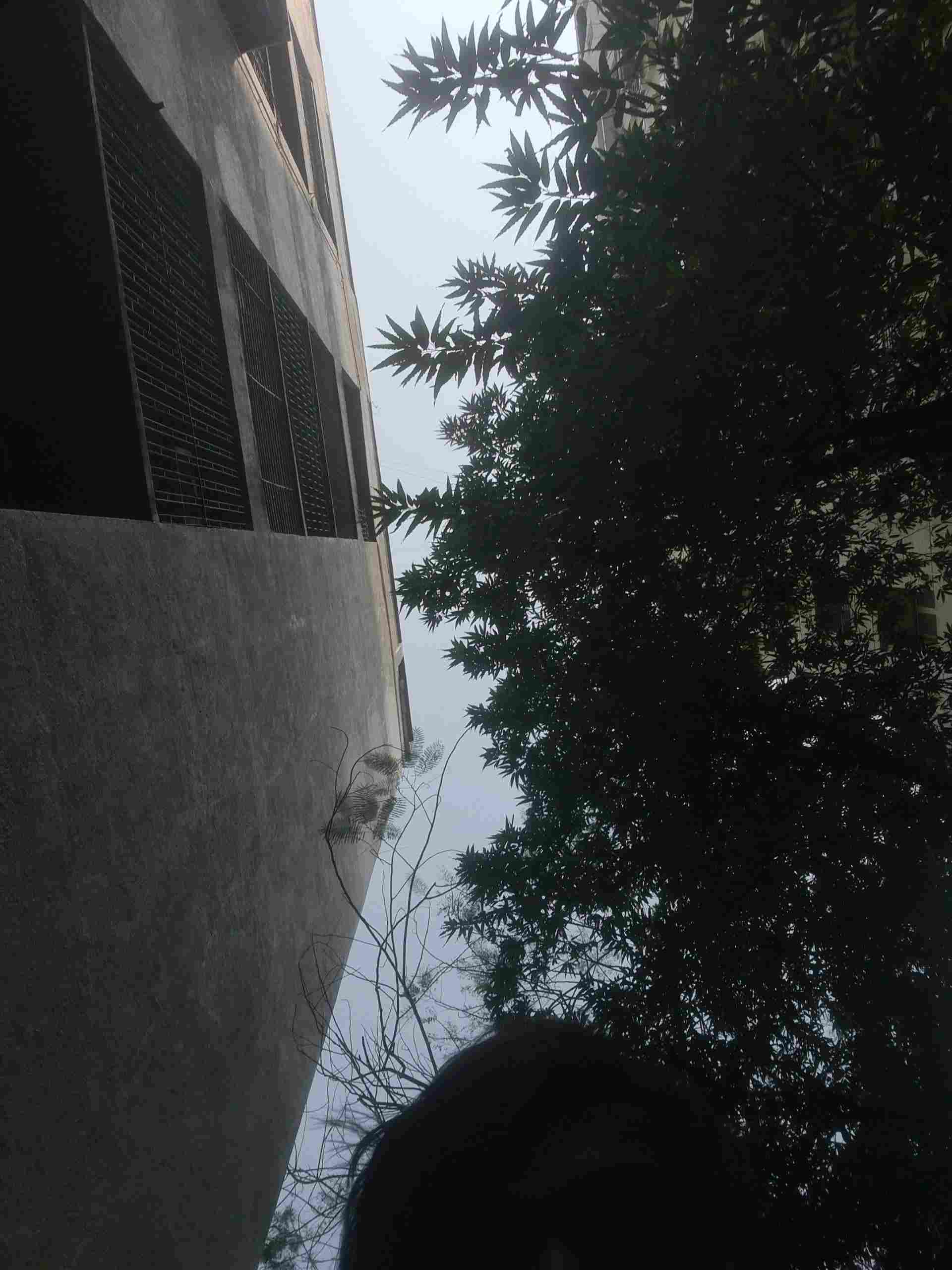 Abhishek B.