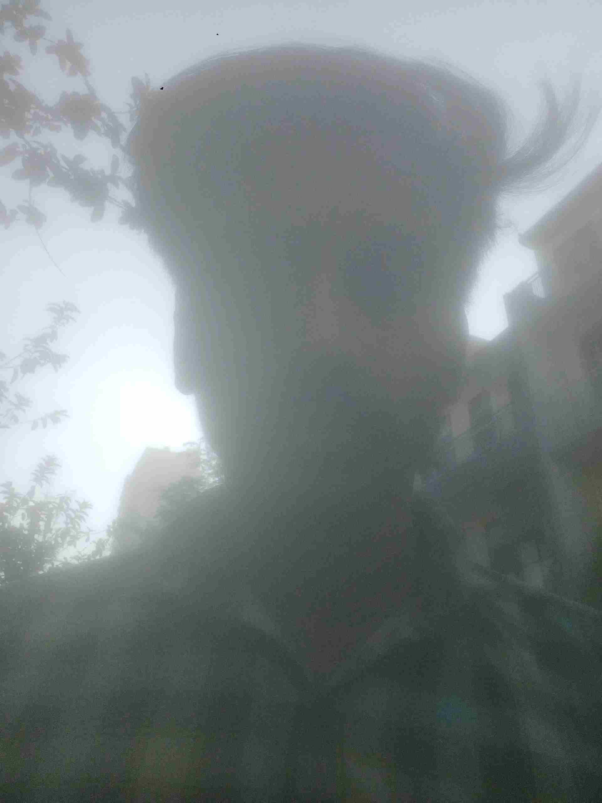 Rahul M.