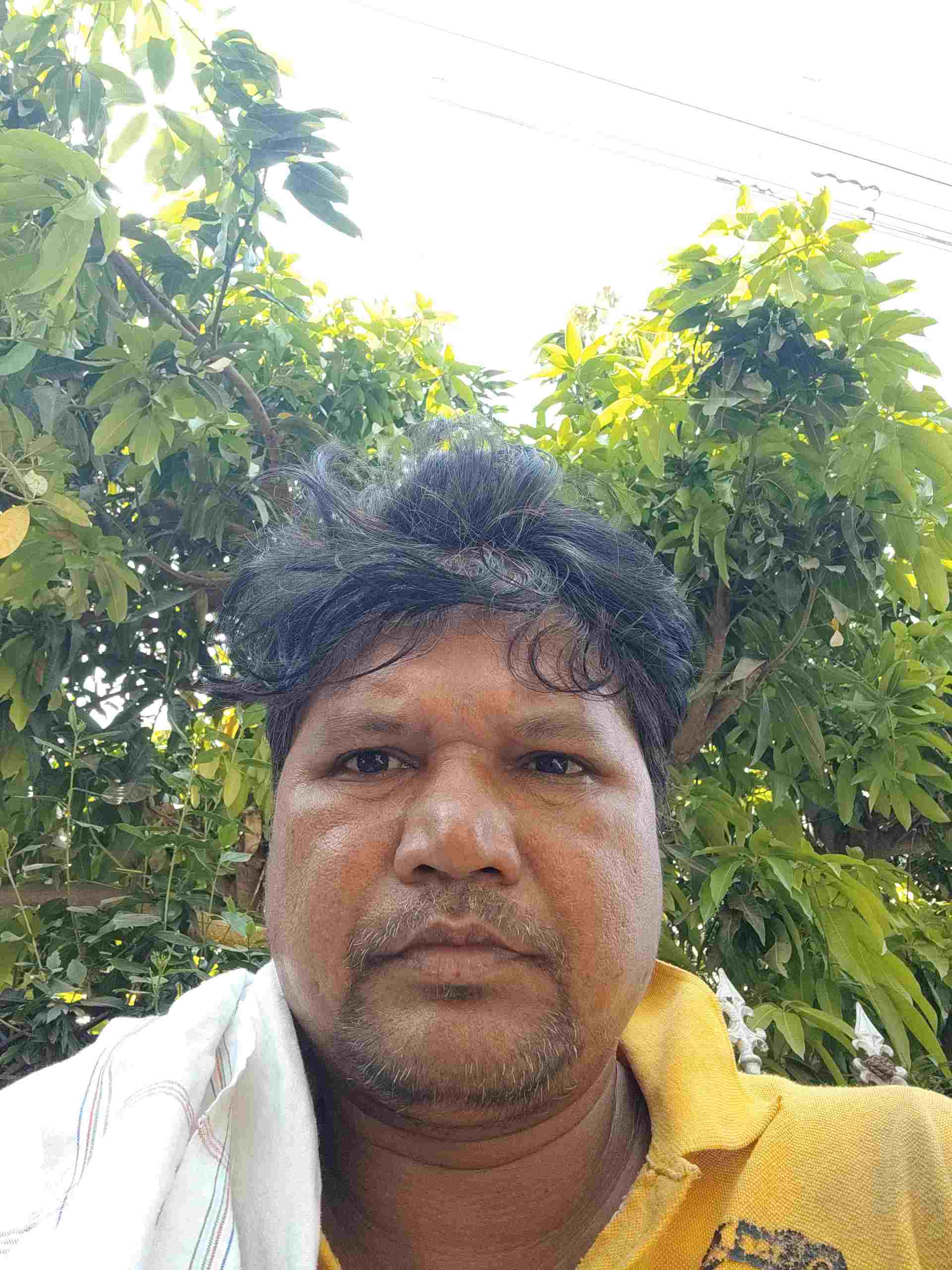 Nitesh M.