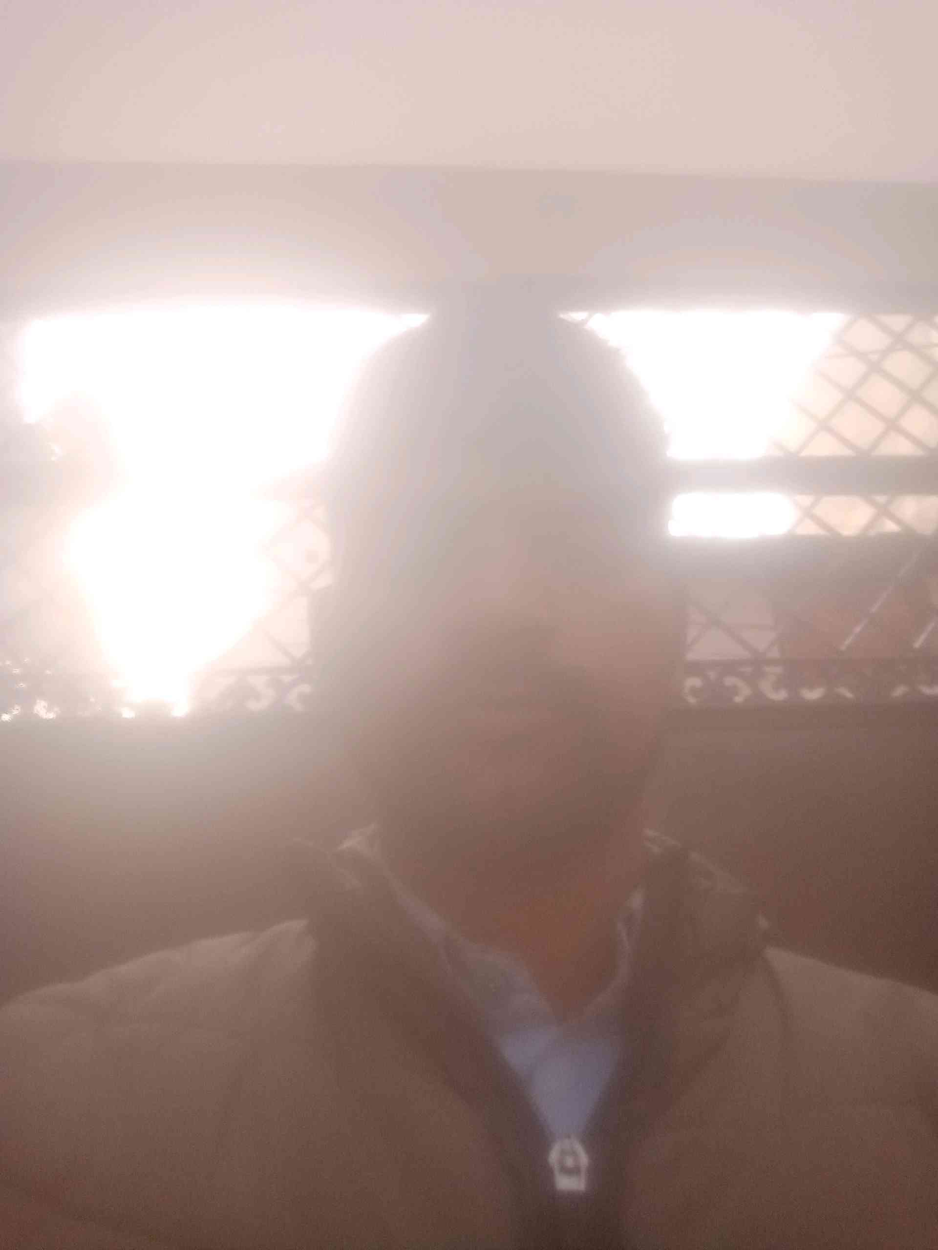 Himanshu M.