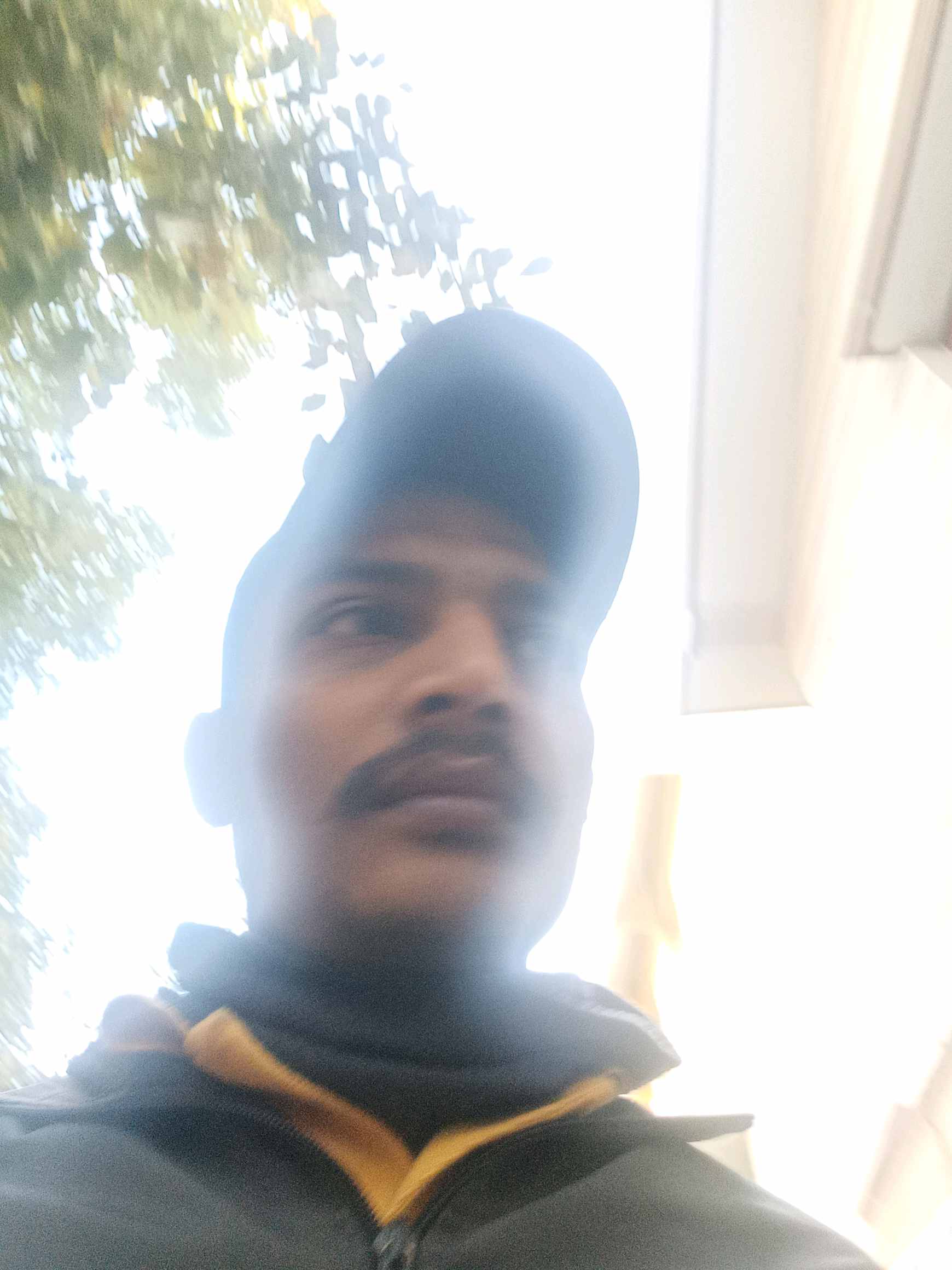 Narendra D.