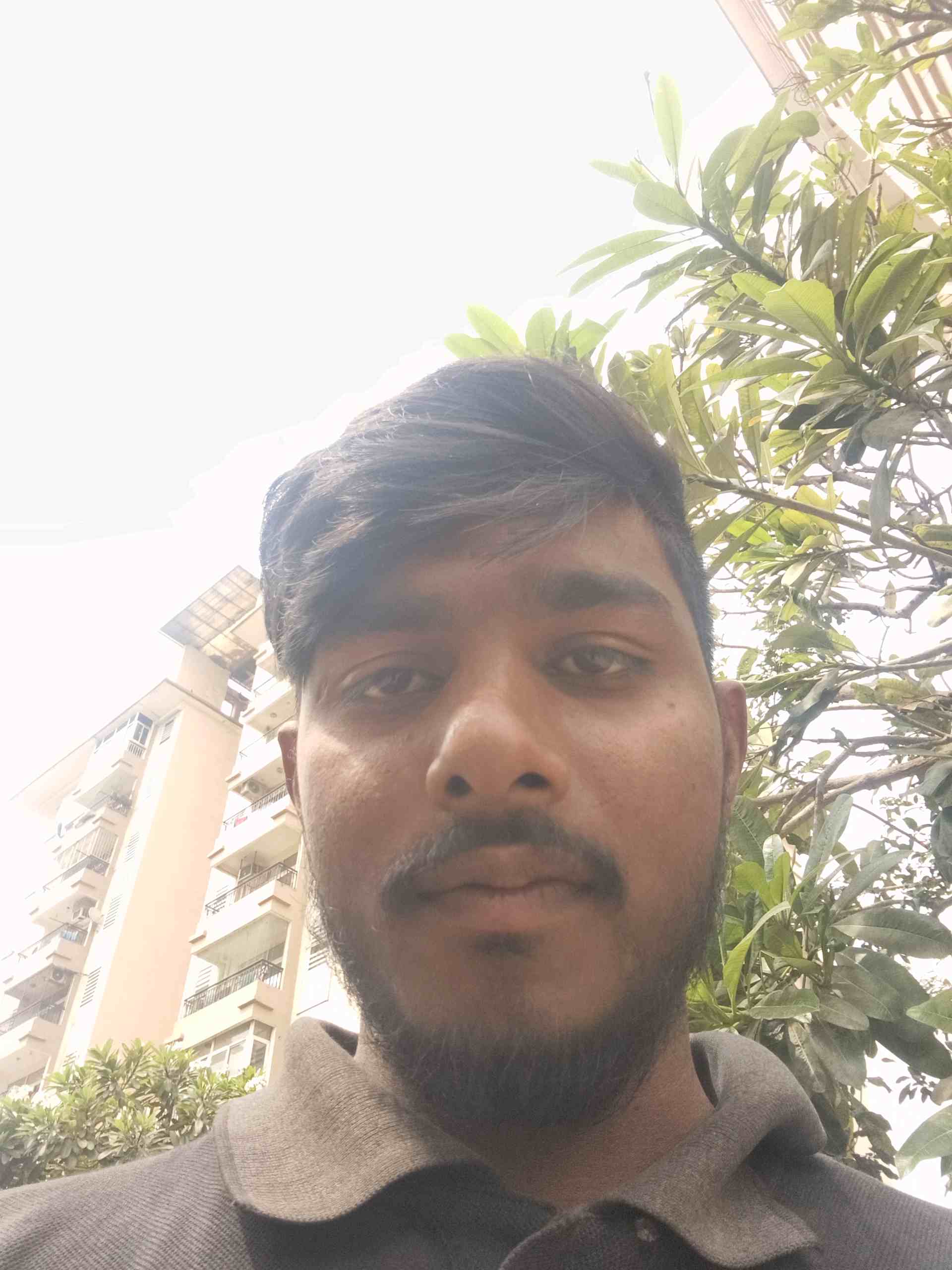 Meghsingh