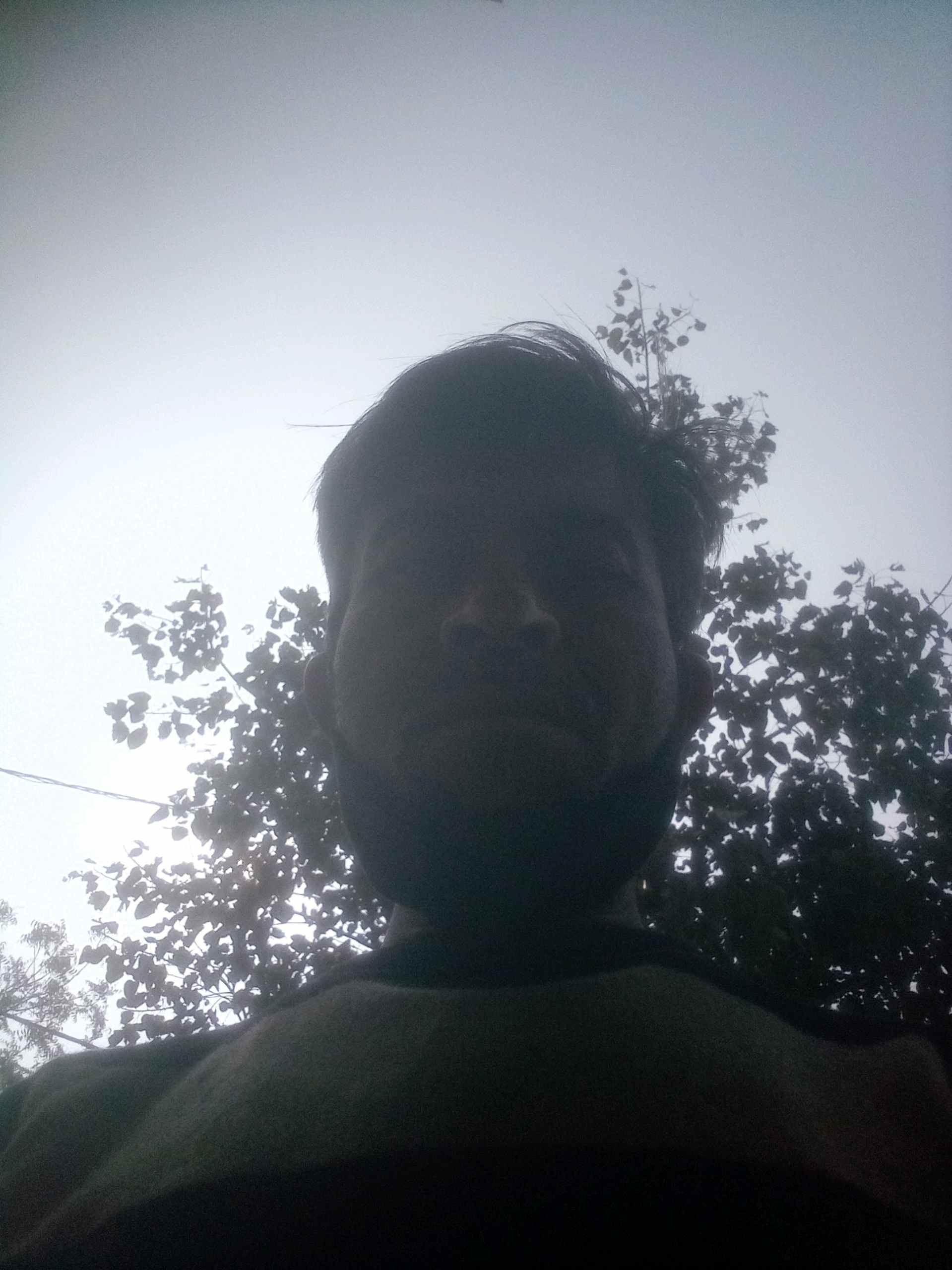 Bharat C.
