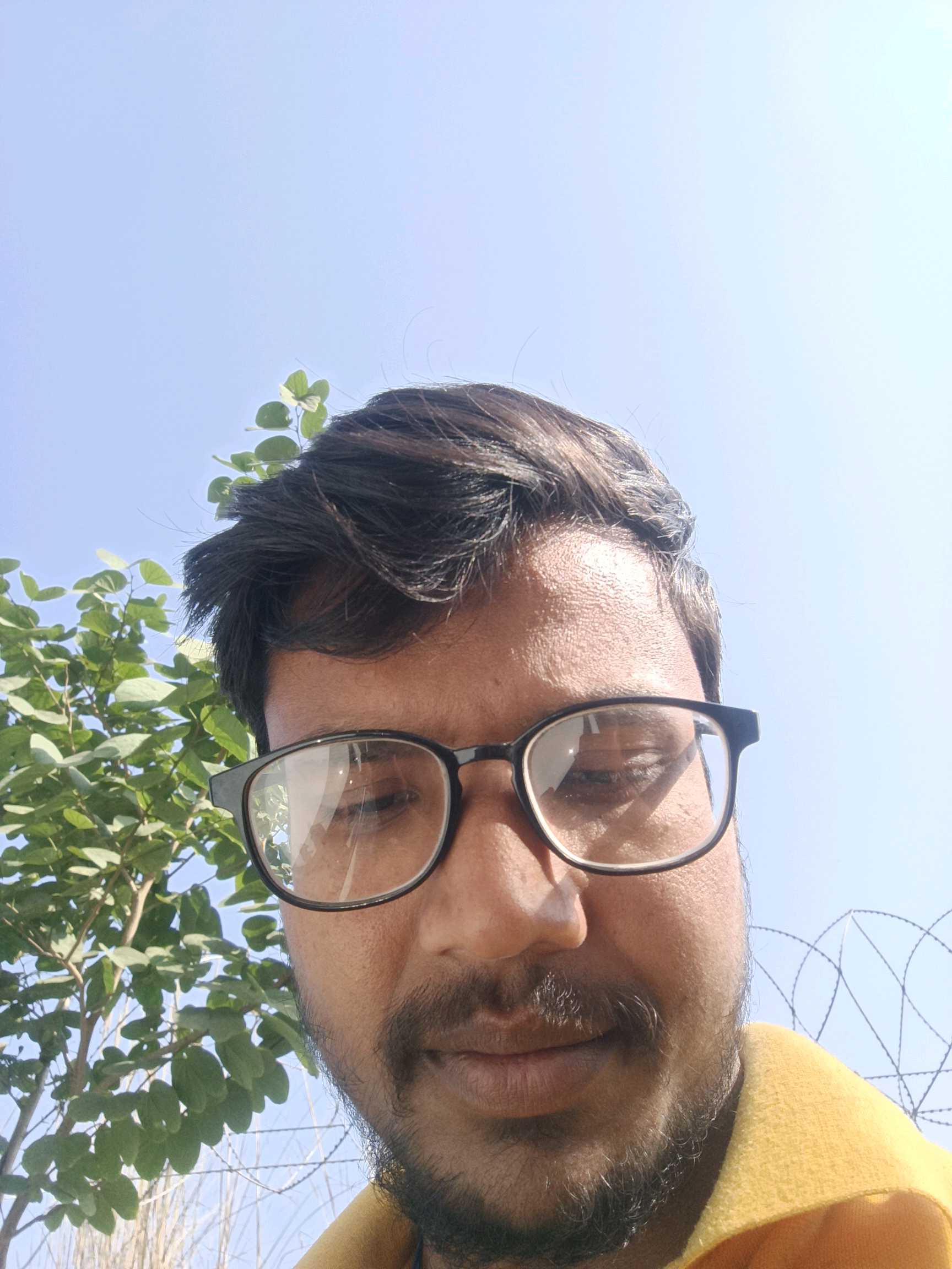 Bikash K.