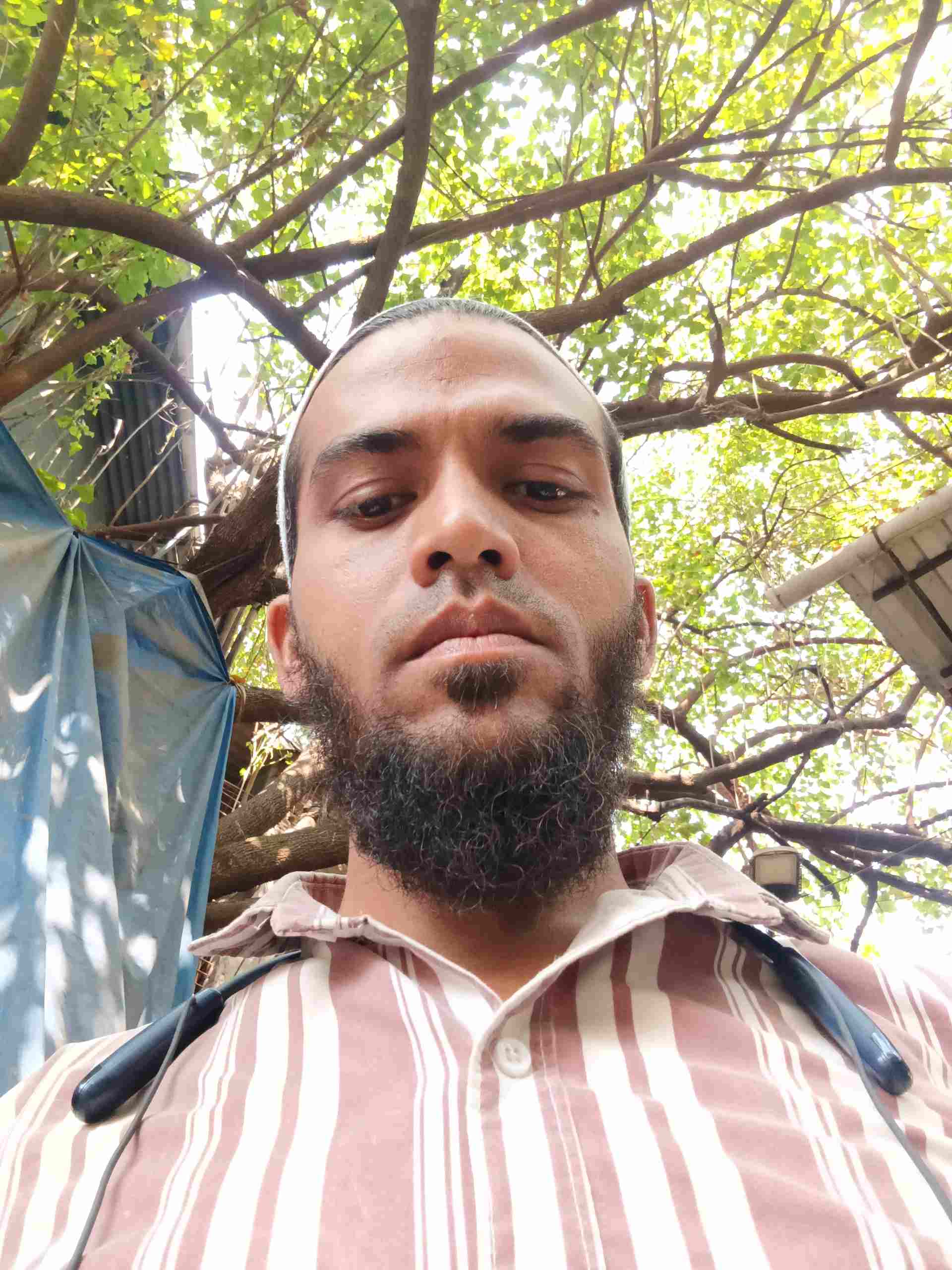 Gauharali S.