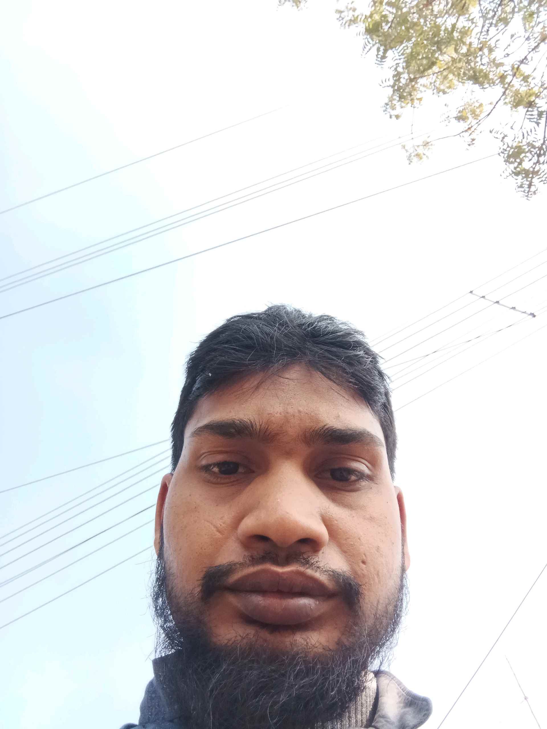 Mir M.