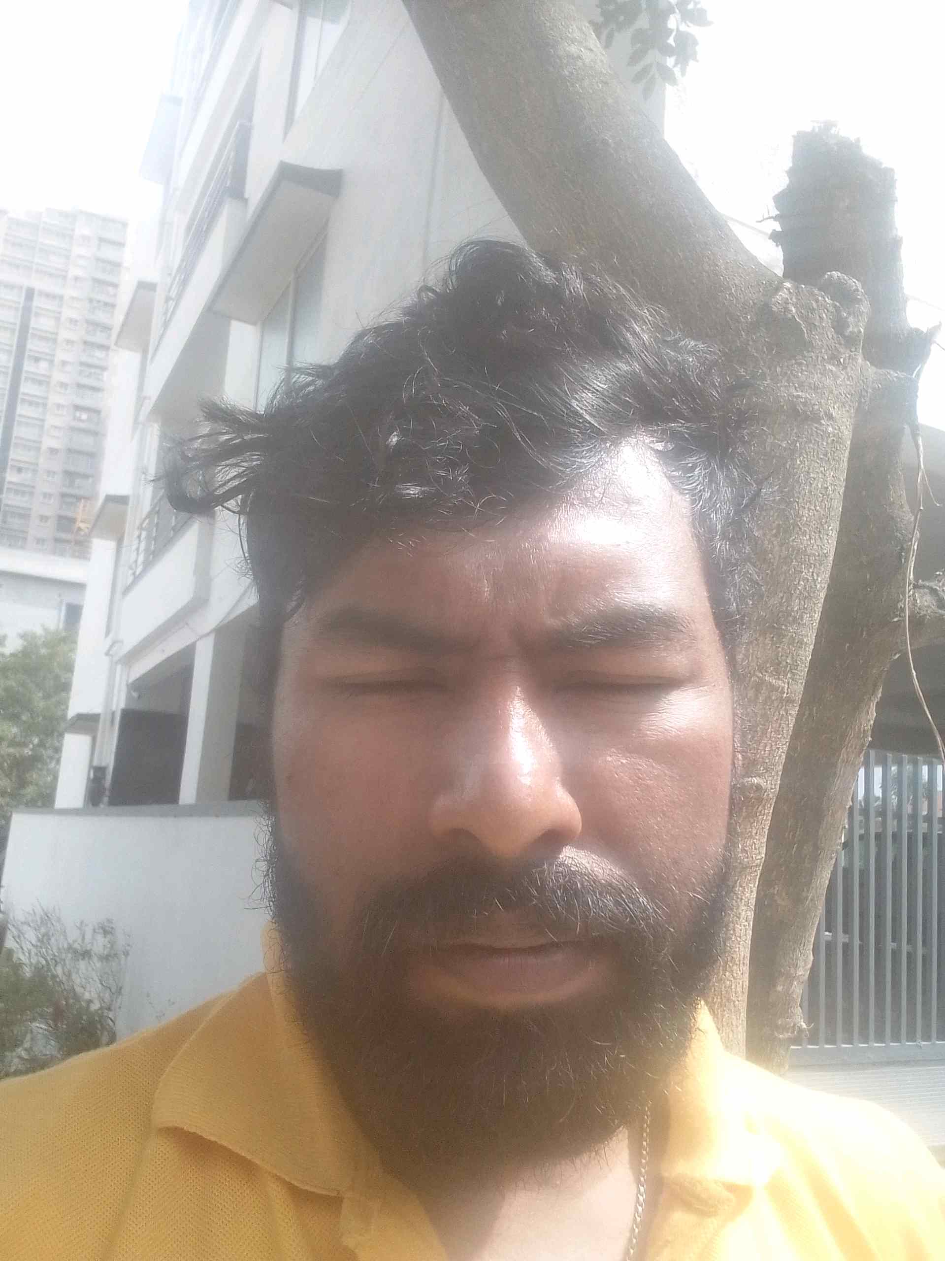 Biswajit B.