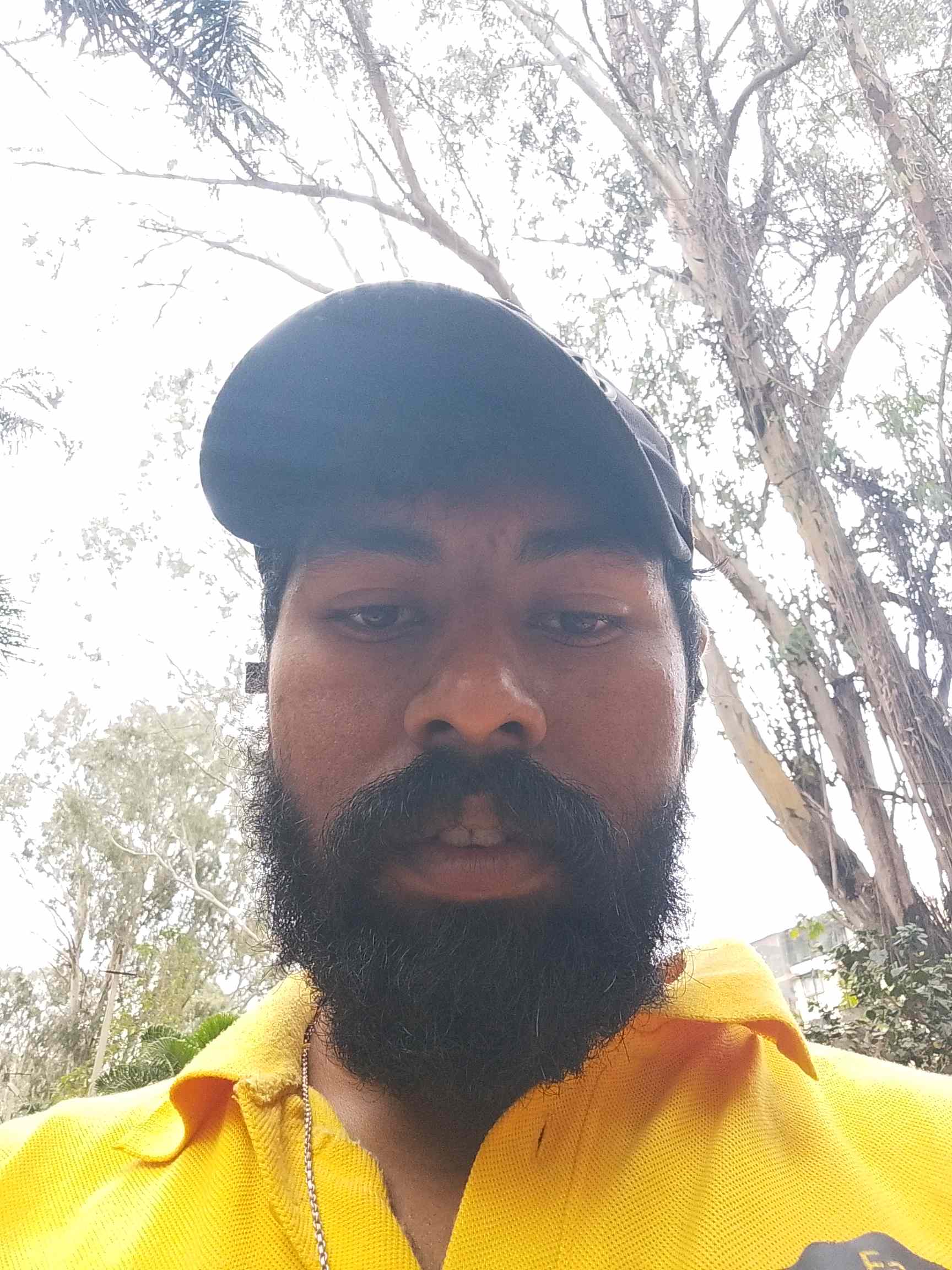 Biswajit B.