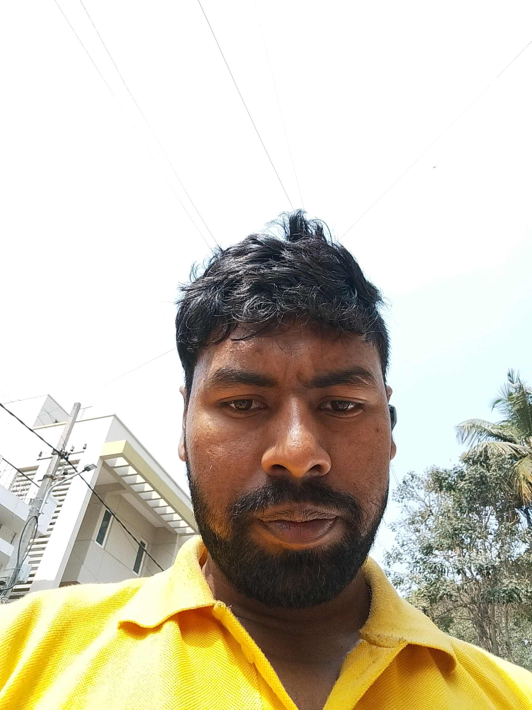 Biswajit B.