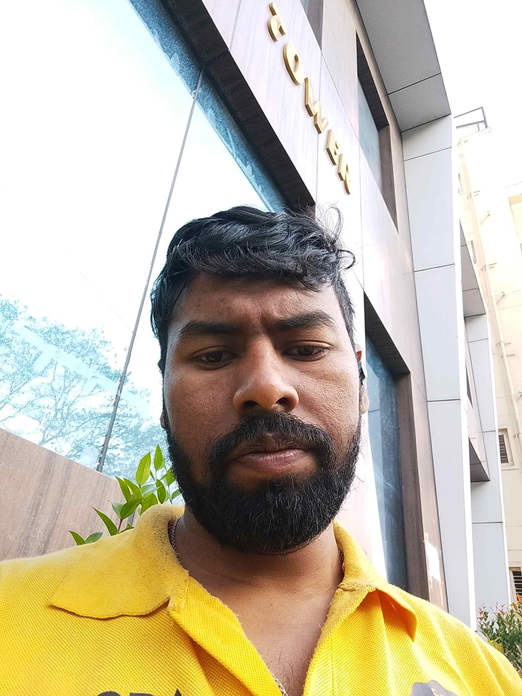 Biswajit B.