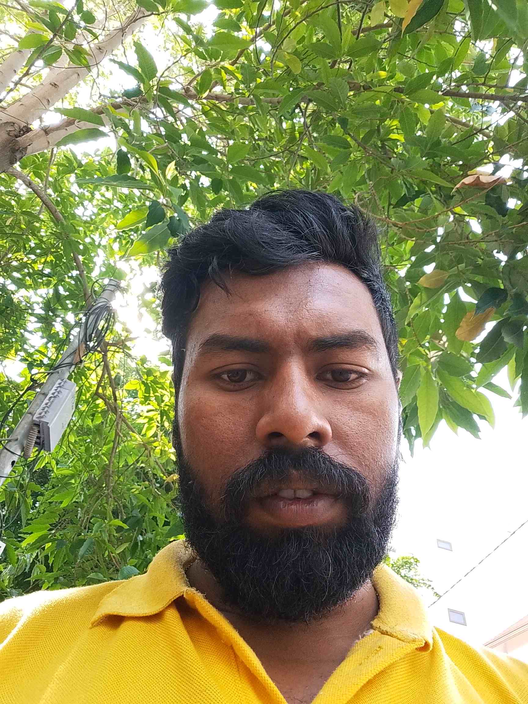 Biswajit B.