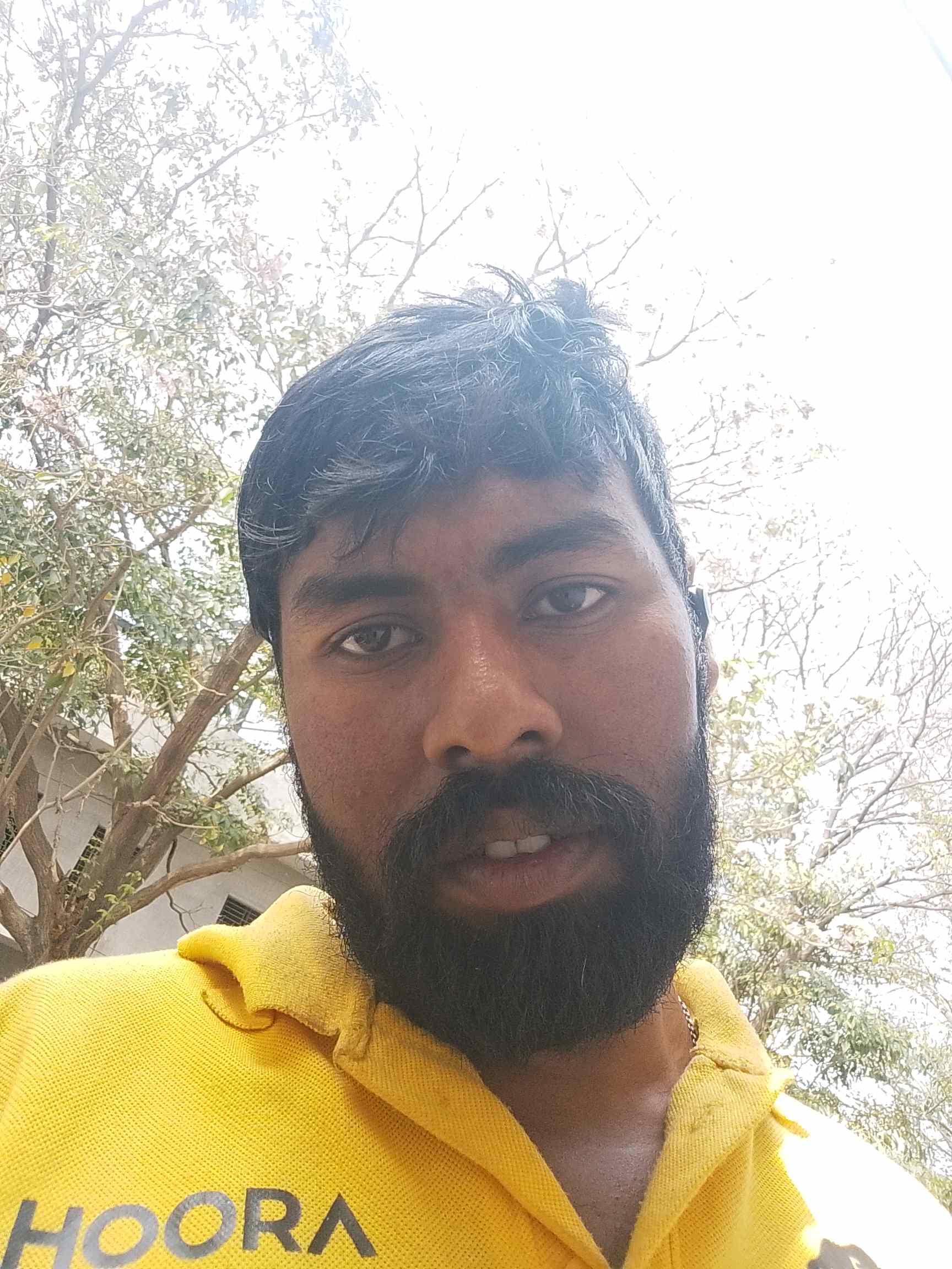 Biswajit B.