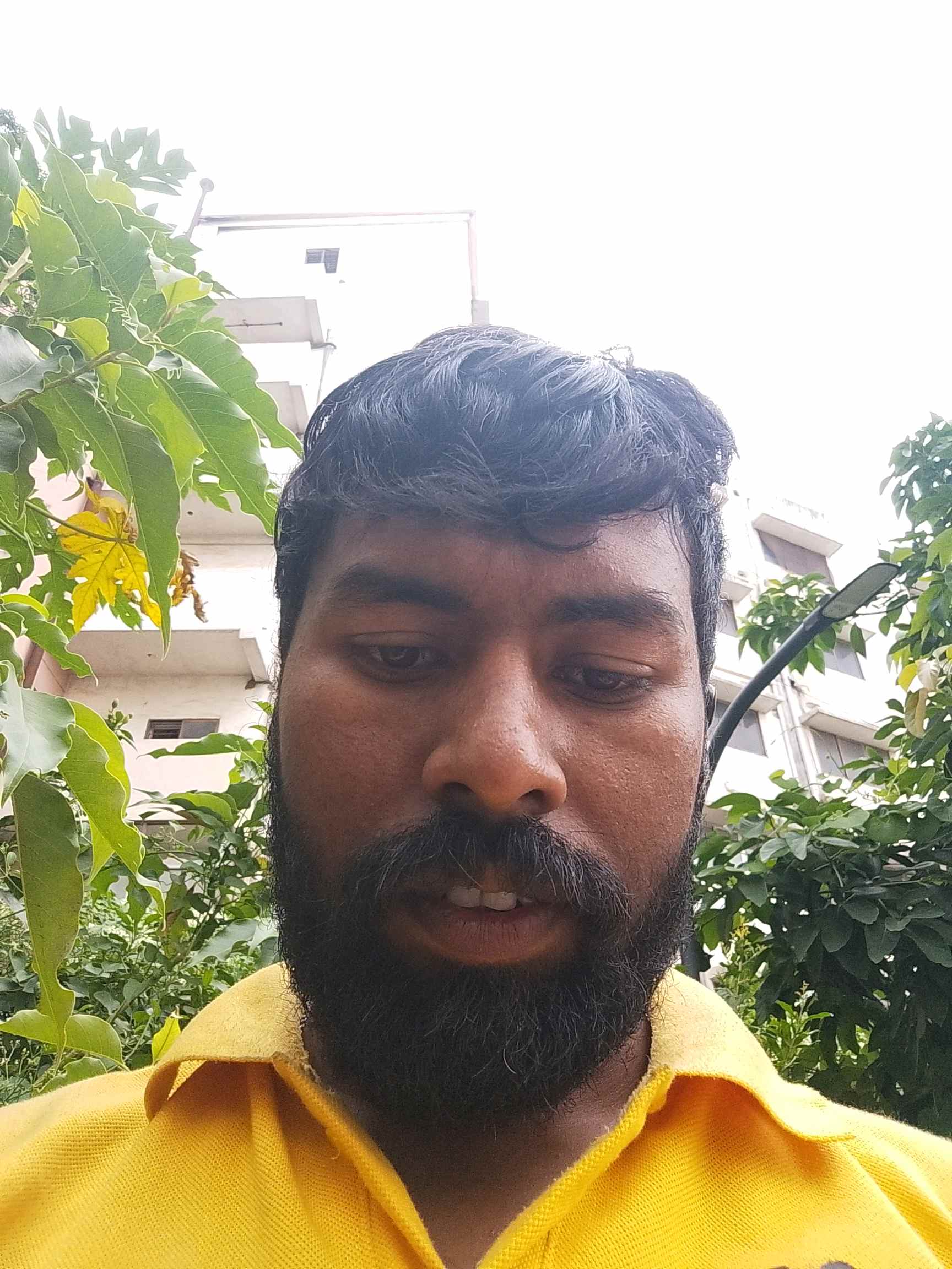 Biswajit B.