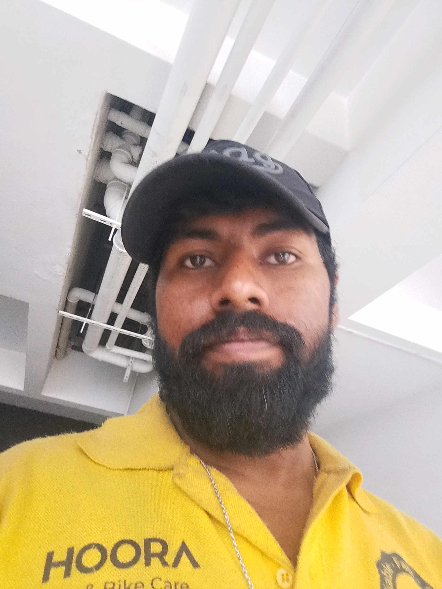Biswajit B.
