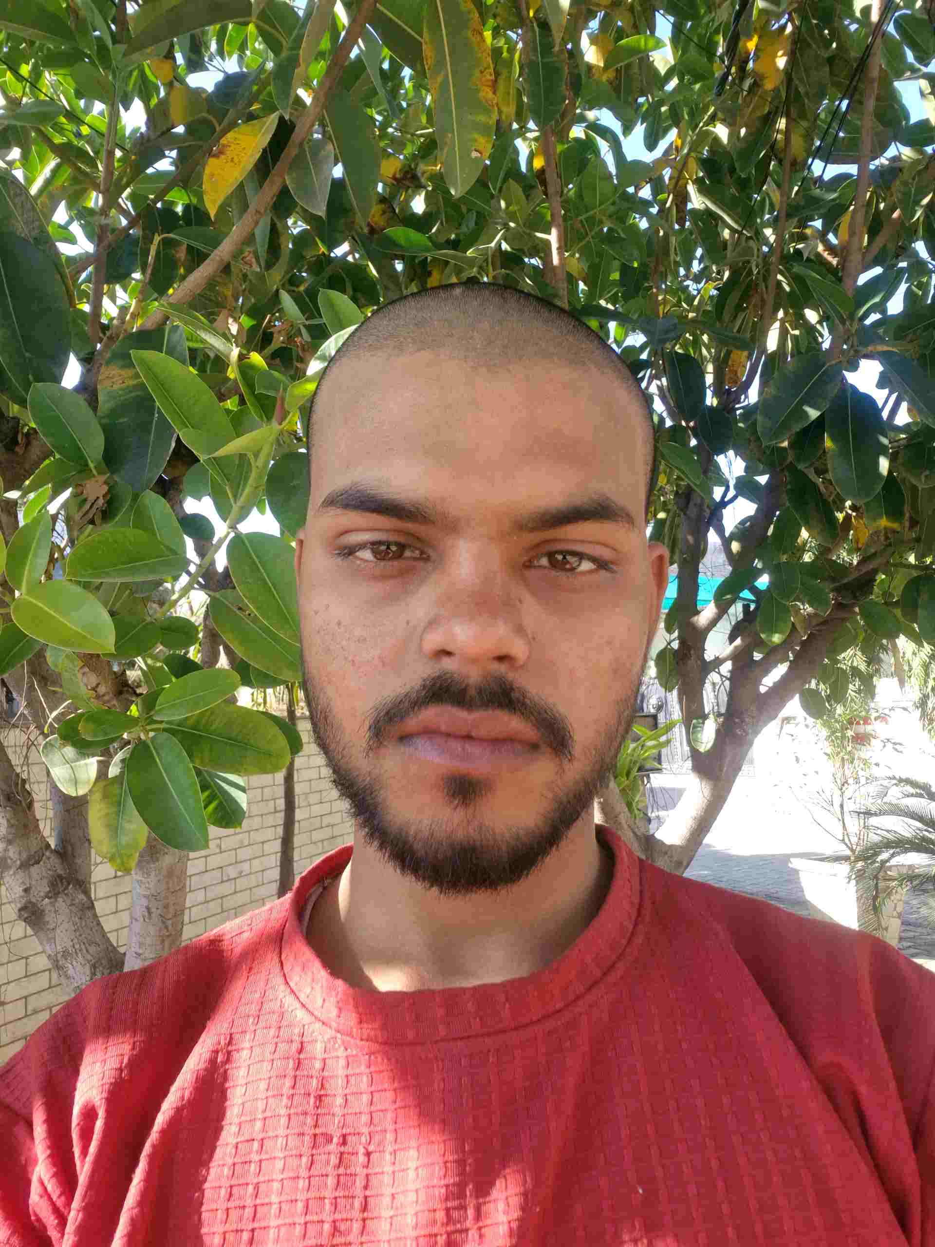 Ravi Y.