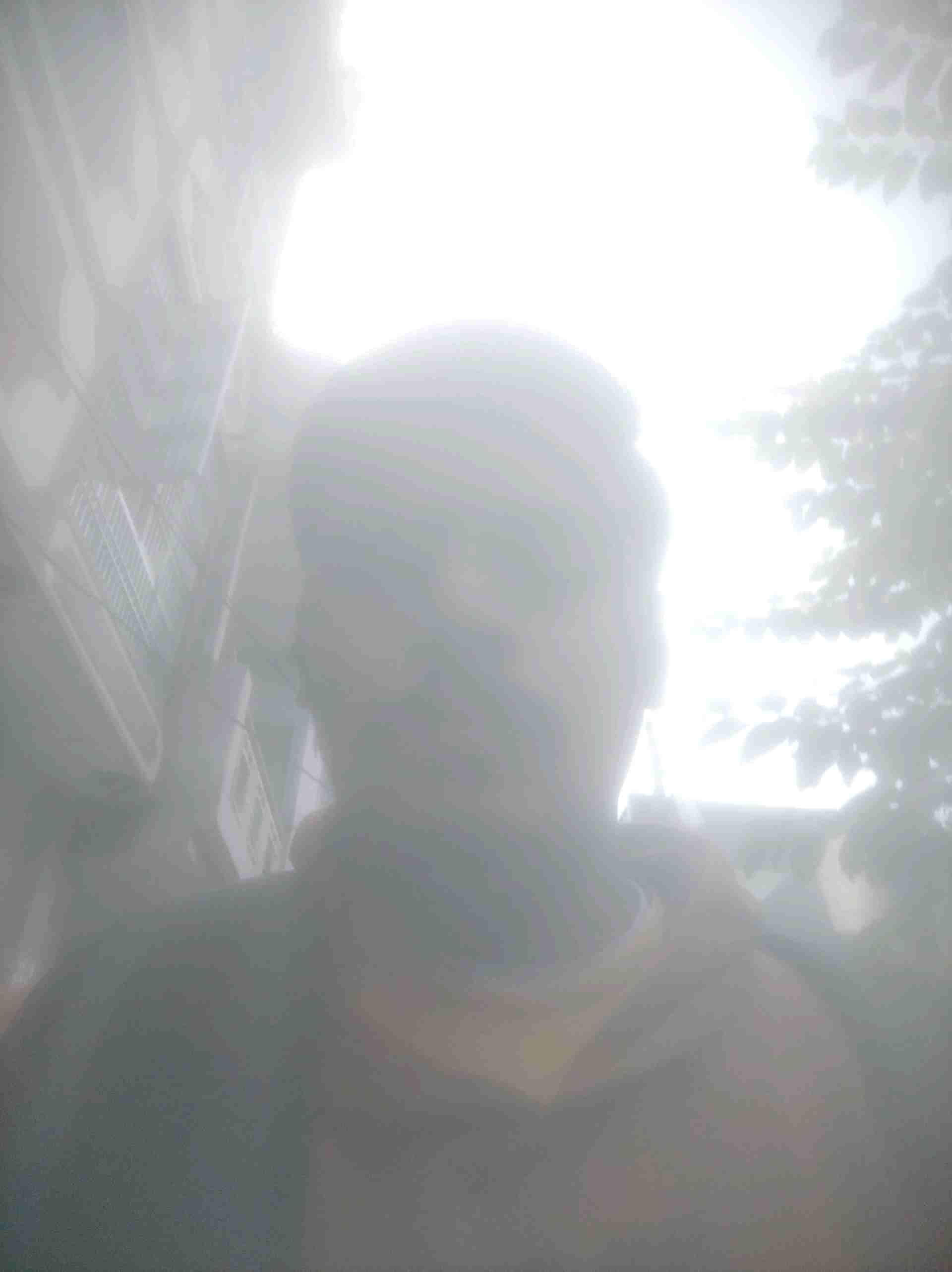Vishesh