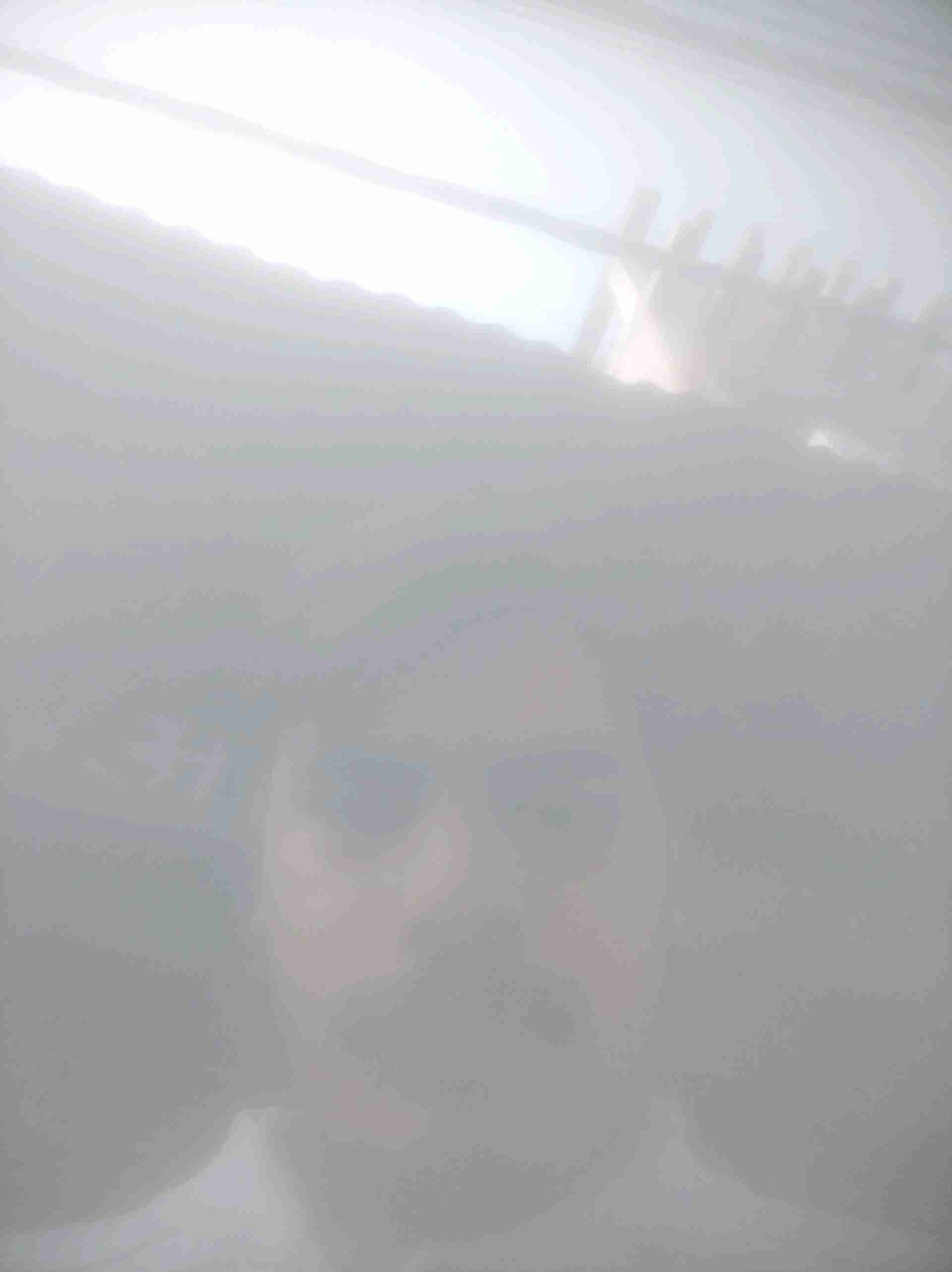 Vishesh