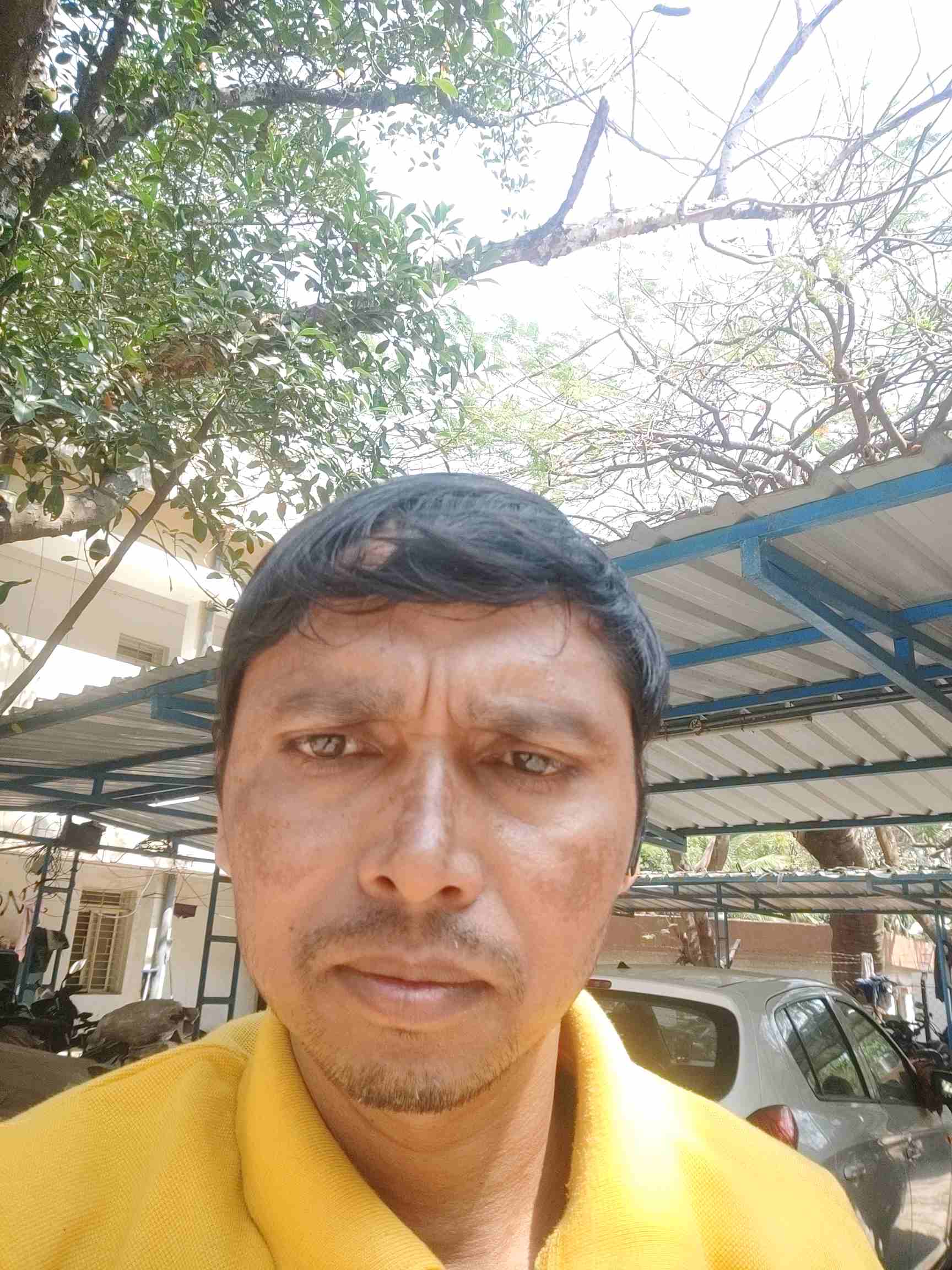 Bhagirath B.