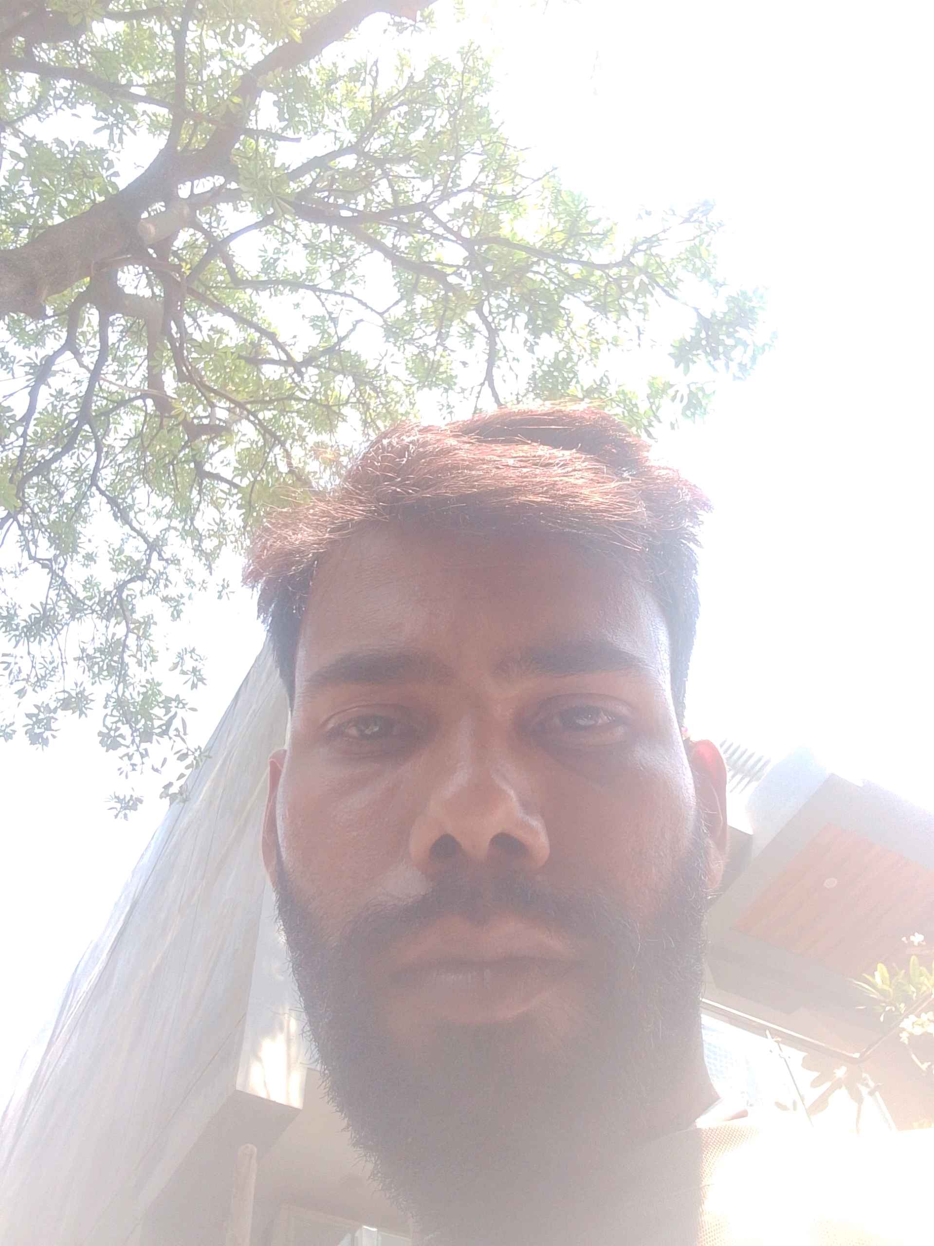 Mayank S.